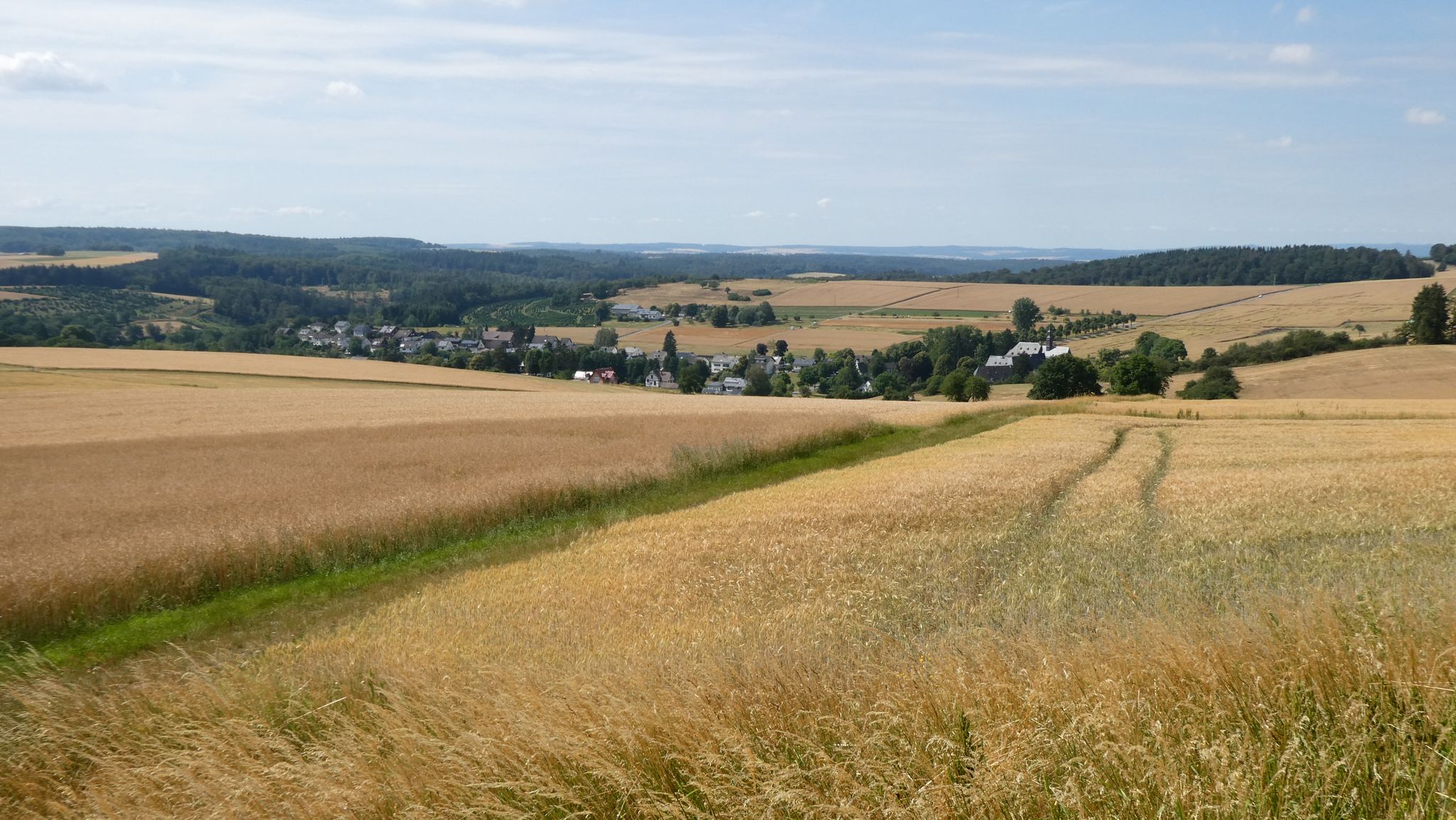 Blick von der Schutzhütte auf Strüth (rechts das Kloster Schönau)
