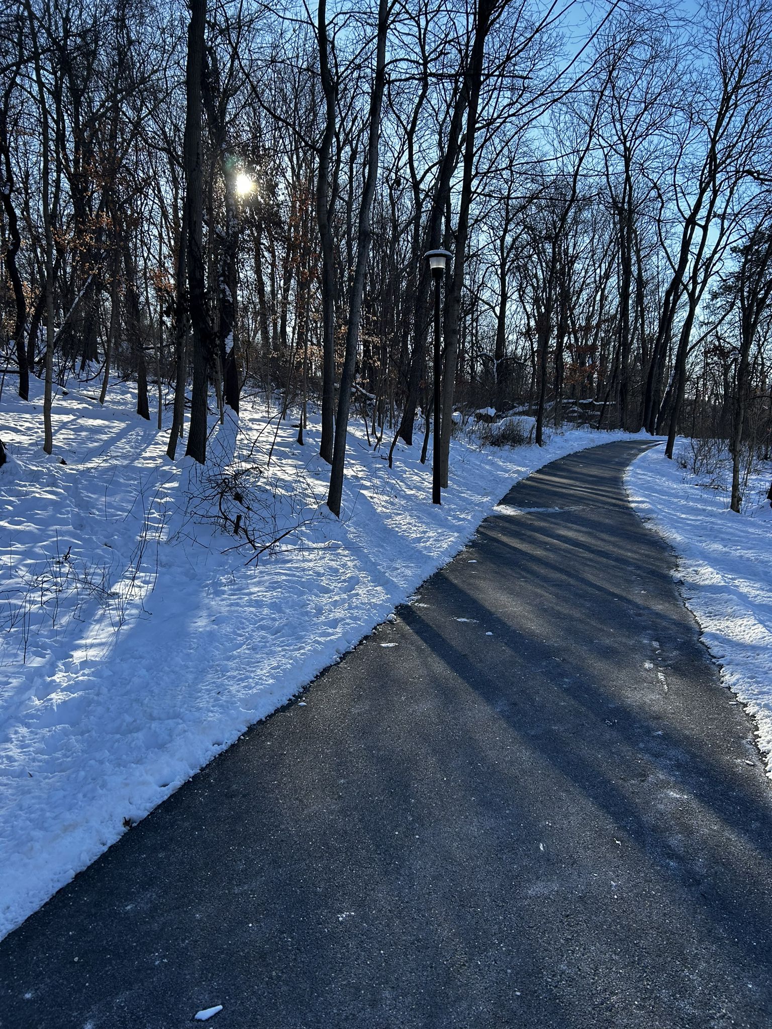 Paved path winds through a snowy forest with bare trees, bright sun. - Wilde Lake – Wilde Lake Loop Trail loop from Columbia