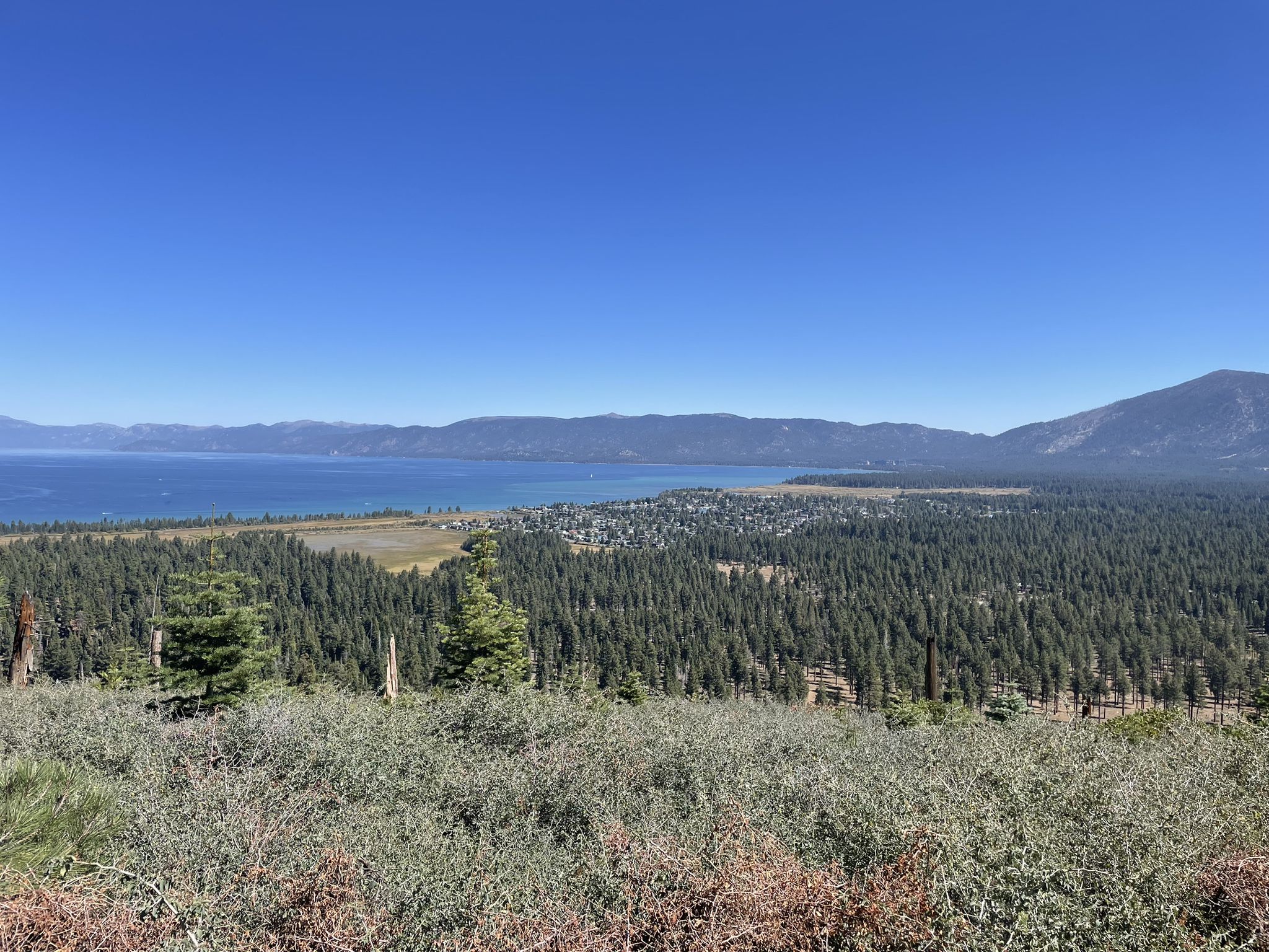 Expansive view of a large lake, dense forest, and distant mountains under a clear sky. - Tahoe Mountain and Angora Ridge Loop