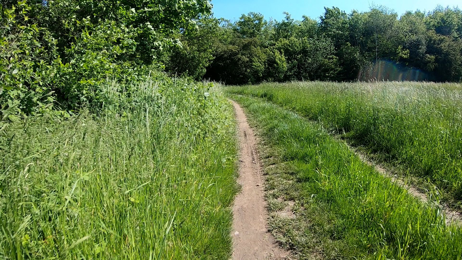 Wir wohnen jetzt seit Jahrzehnten in Meerbusch-Nierst: aber den Weg kannten wir bislang nicht...
