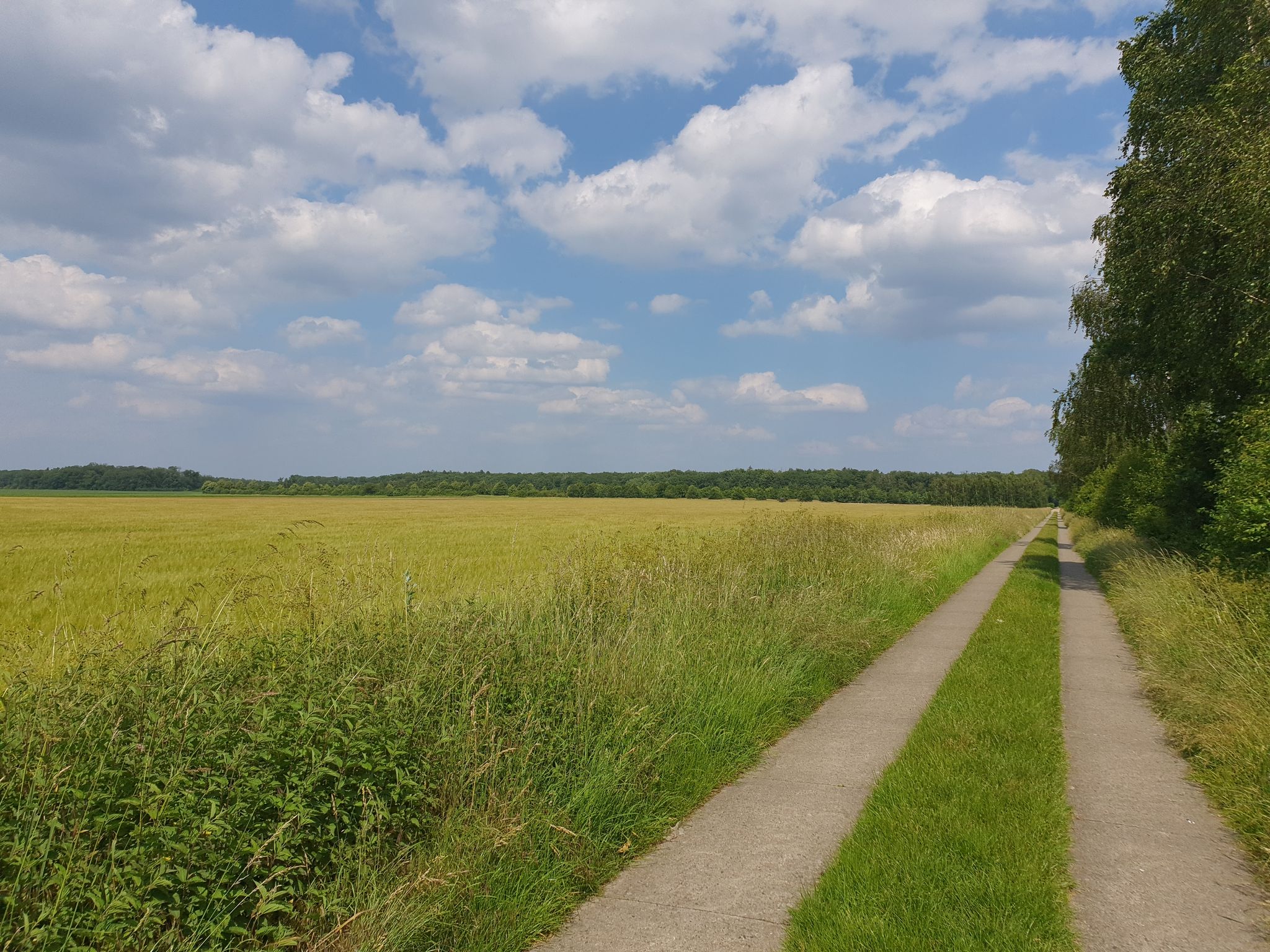Nebenweg zum Golfplatz