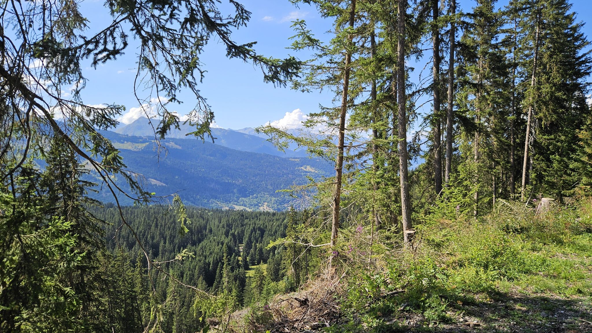 vue à 2,3 km