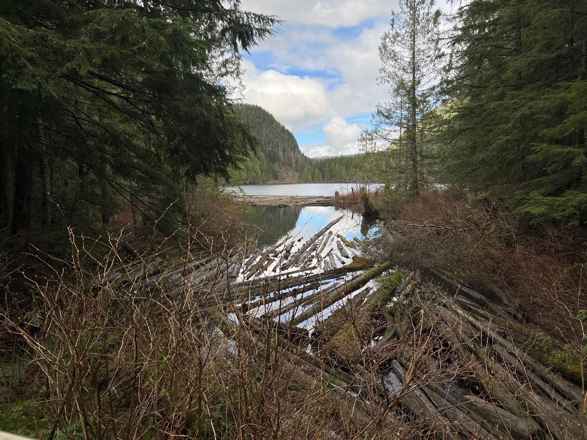 Partly cloudy view of a lake with forested hills and log reflections. - Wallace Lake via Greg Ball Trail