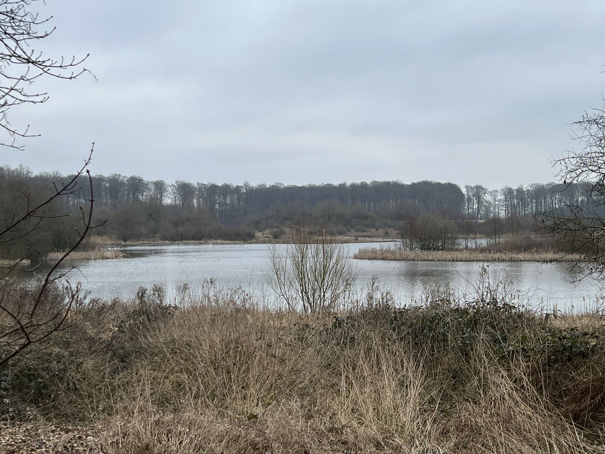 Rehburg Teich