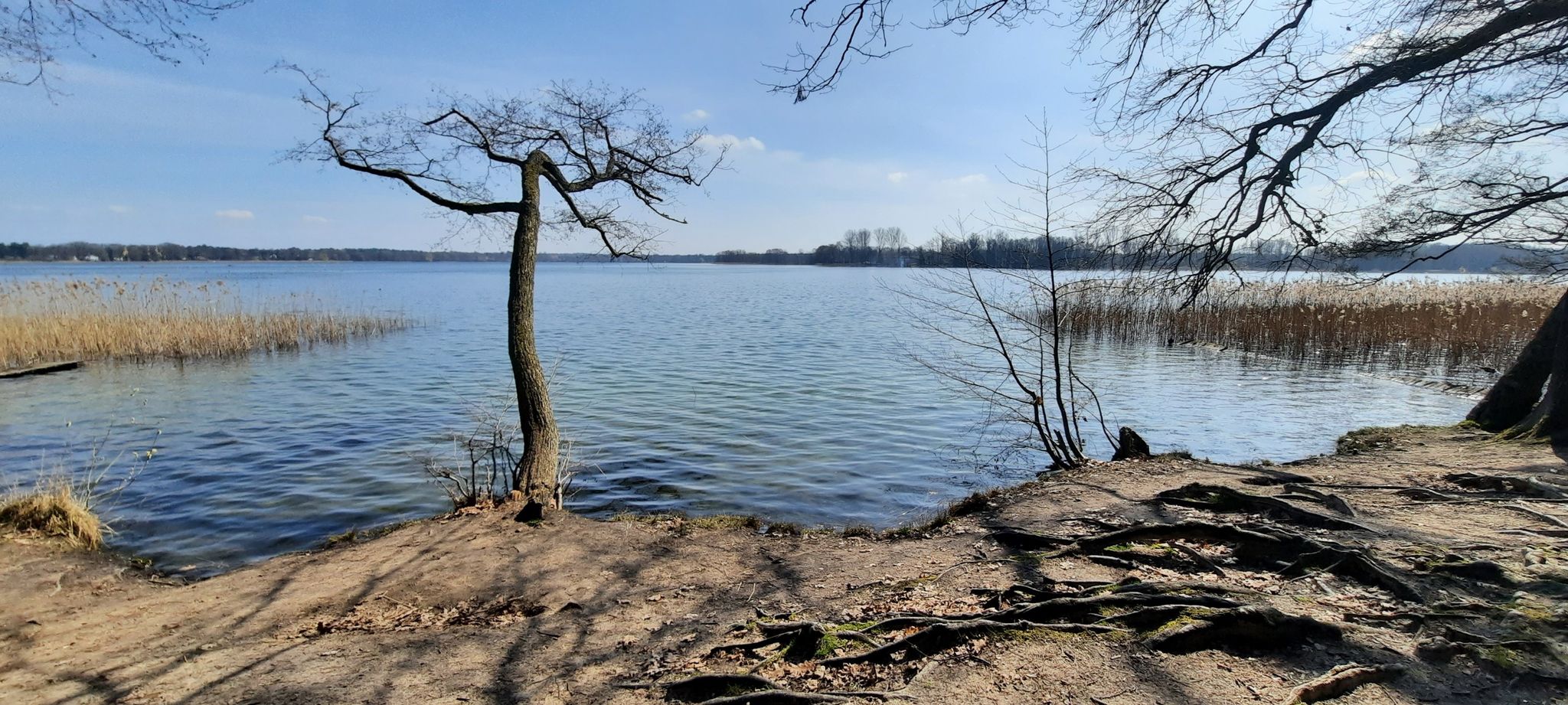 Wandlitzsee