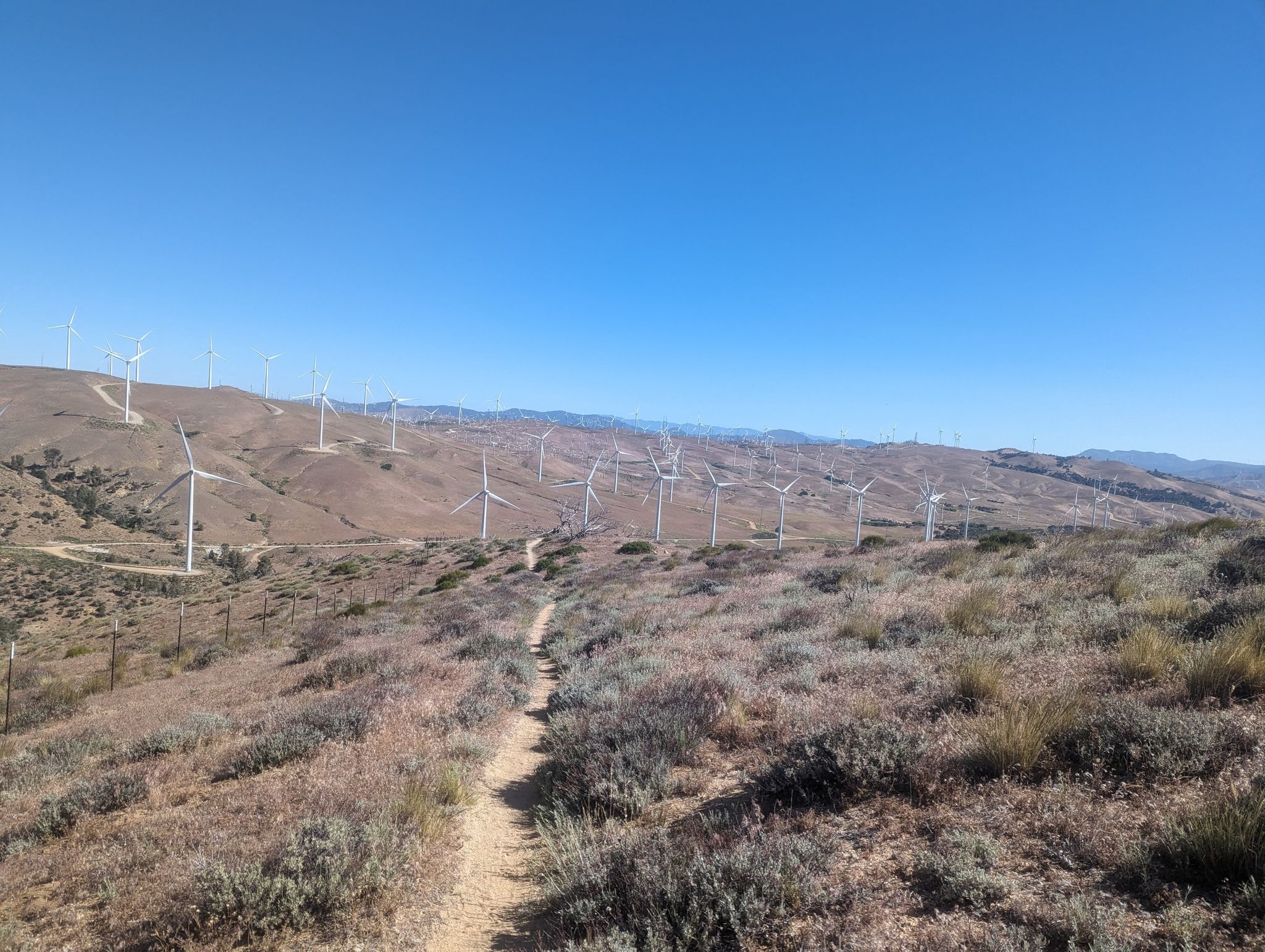 Dirt path through dry hills with many wind turbines under clear sky. - Pacific Crest Trail South via Tehachapi Willow Springs Road