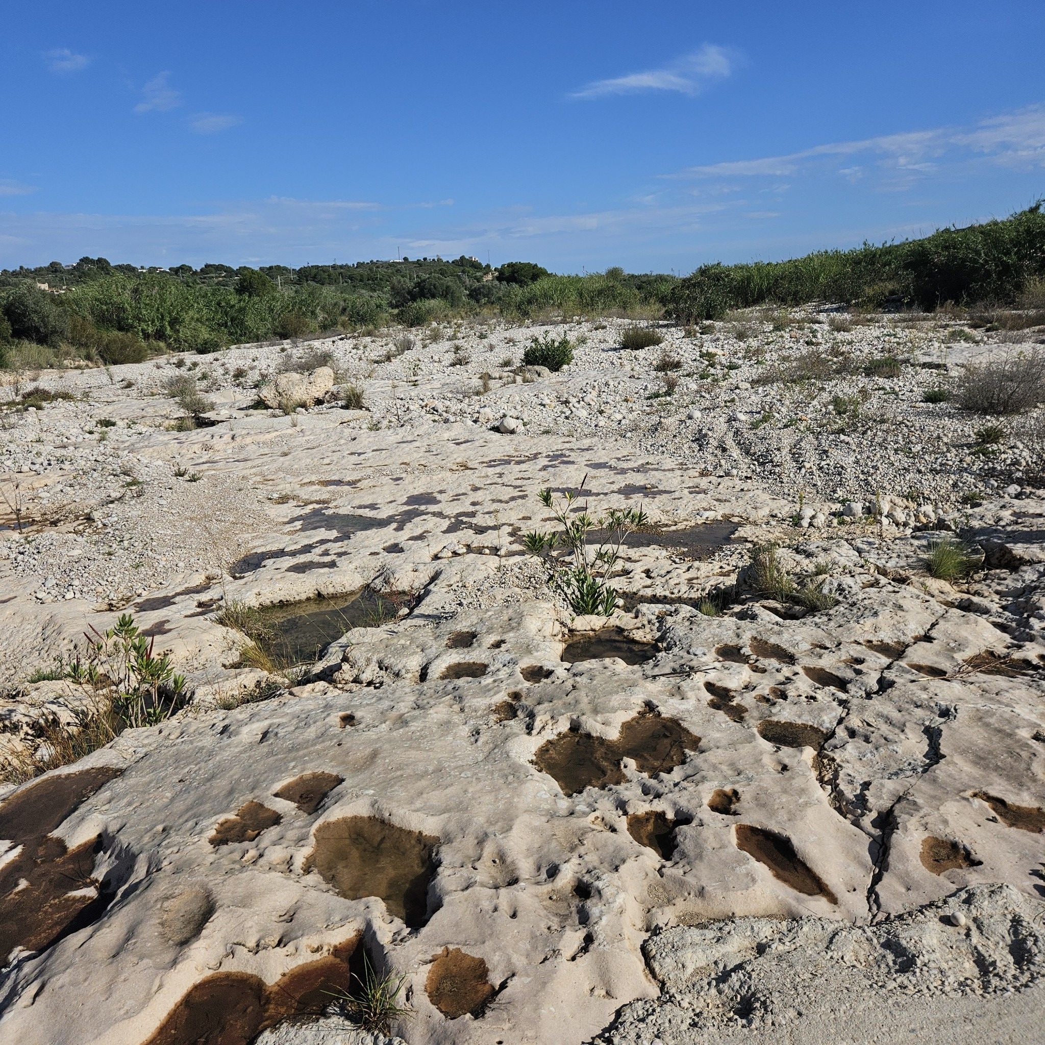 Rauhe Natur