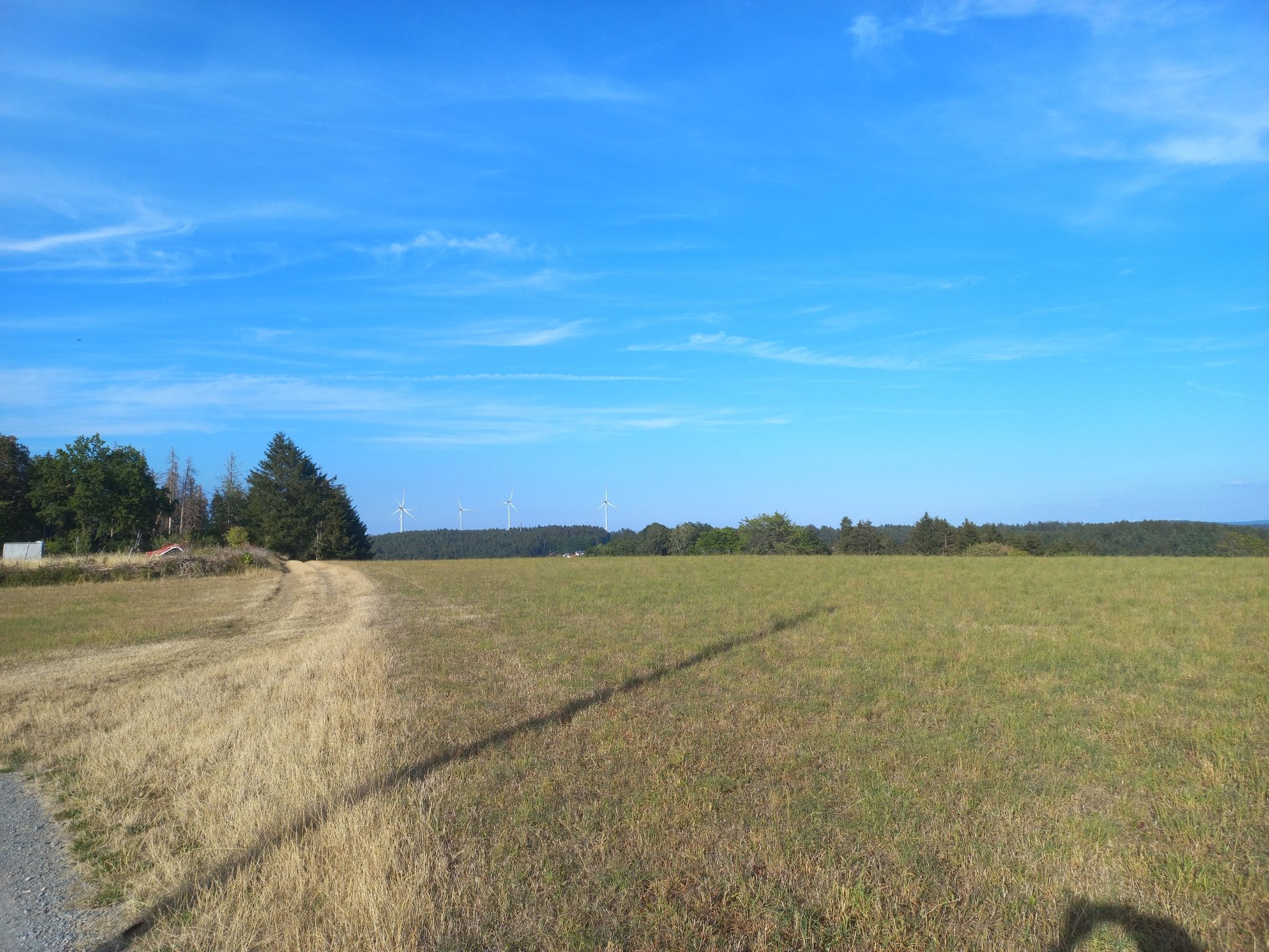 Wildpark Kalenberg