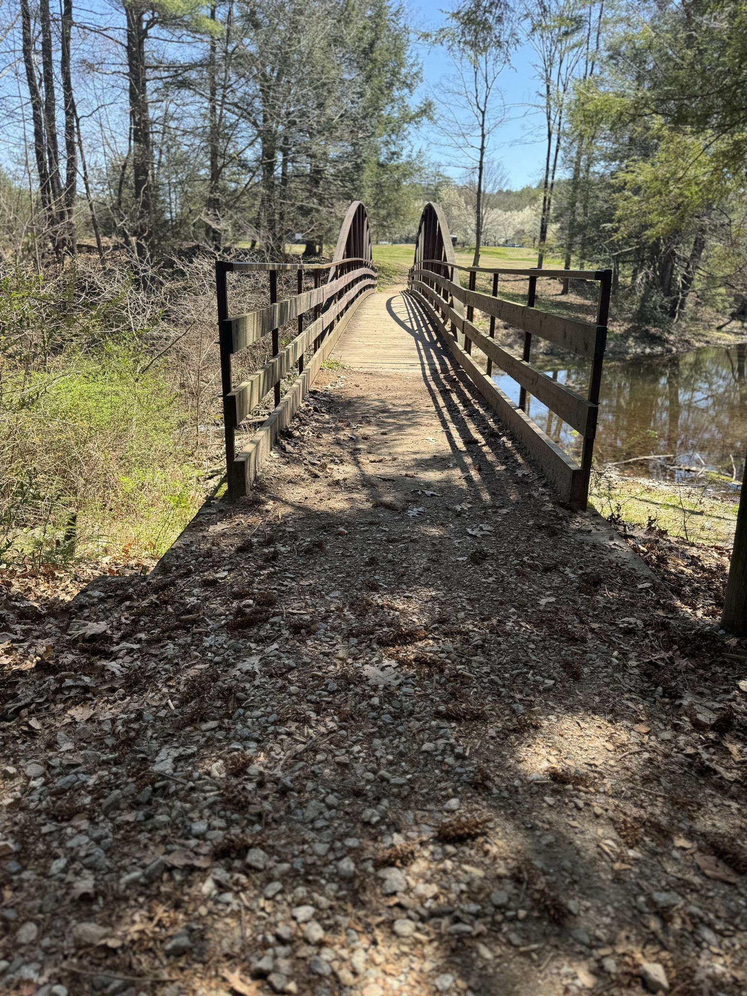 A wooden footbridge spans over water, surrounded by trees on a sunny day. - Black Rock Trail