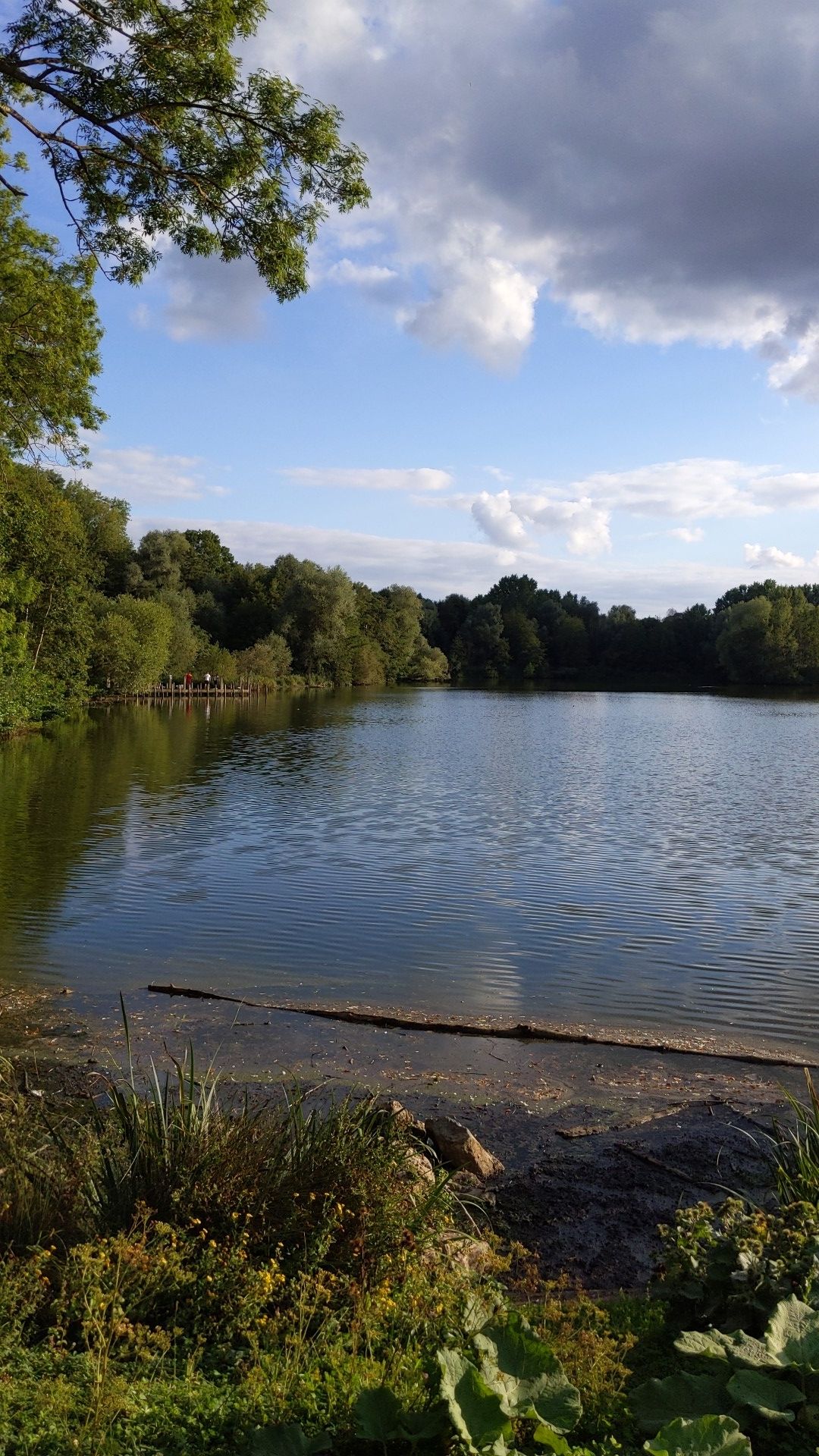Étang de la loy