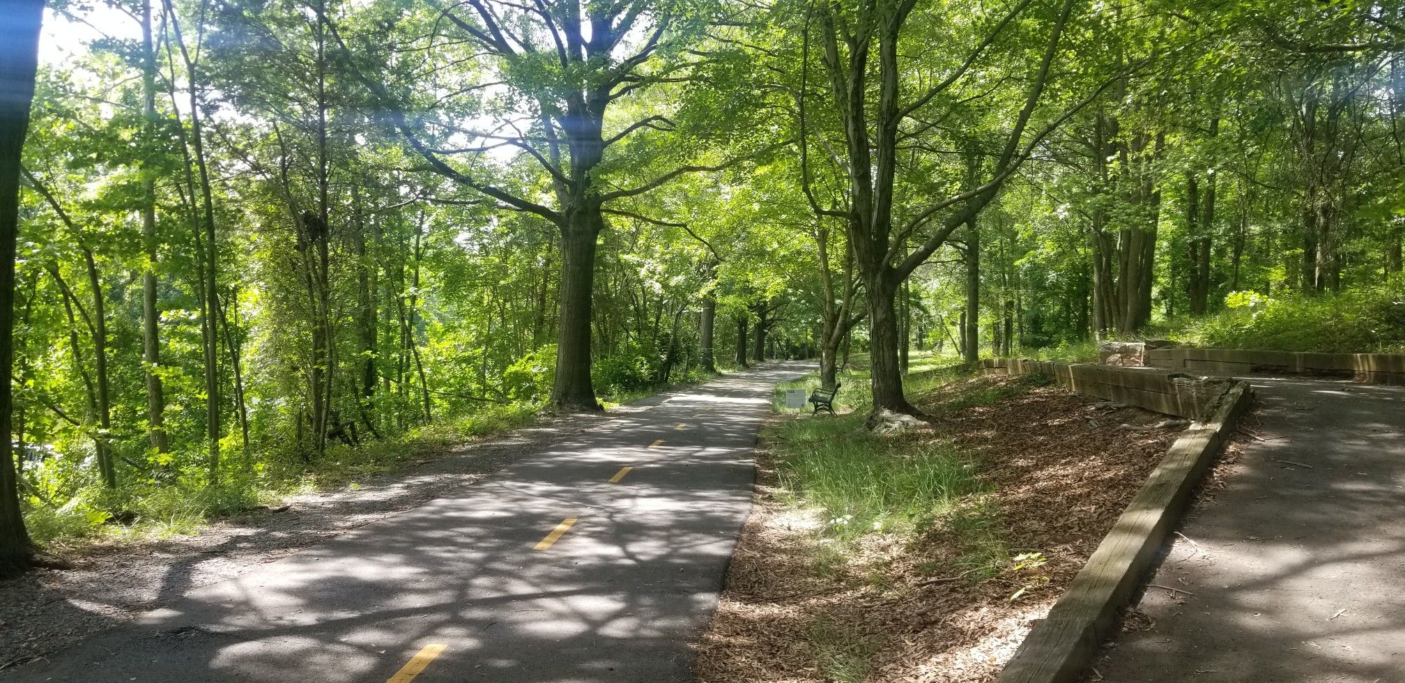 Paved path winding through a sunlit forest with dappled shadows. - Alexandria Loop