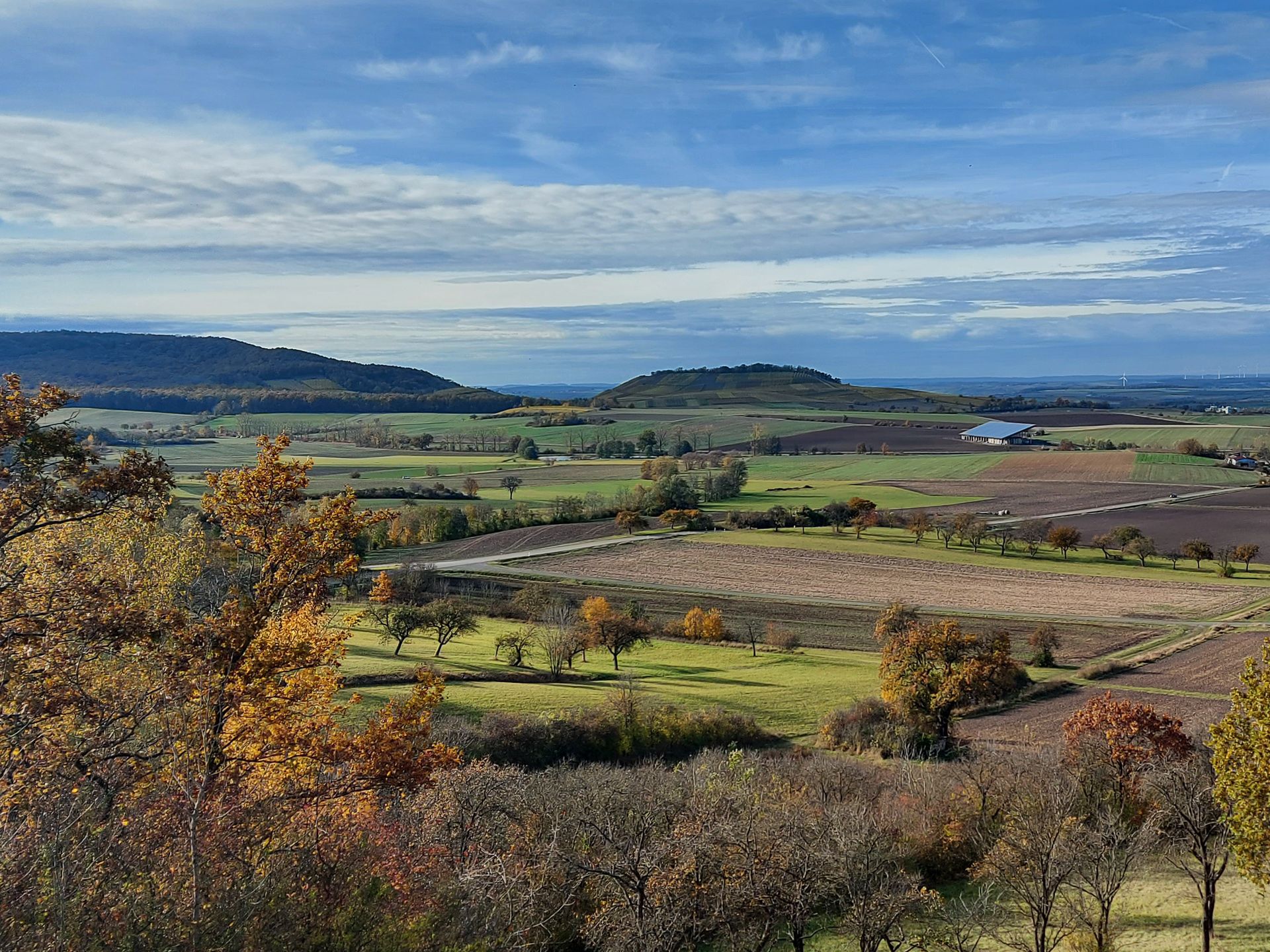 blick auf den Tannenberg