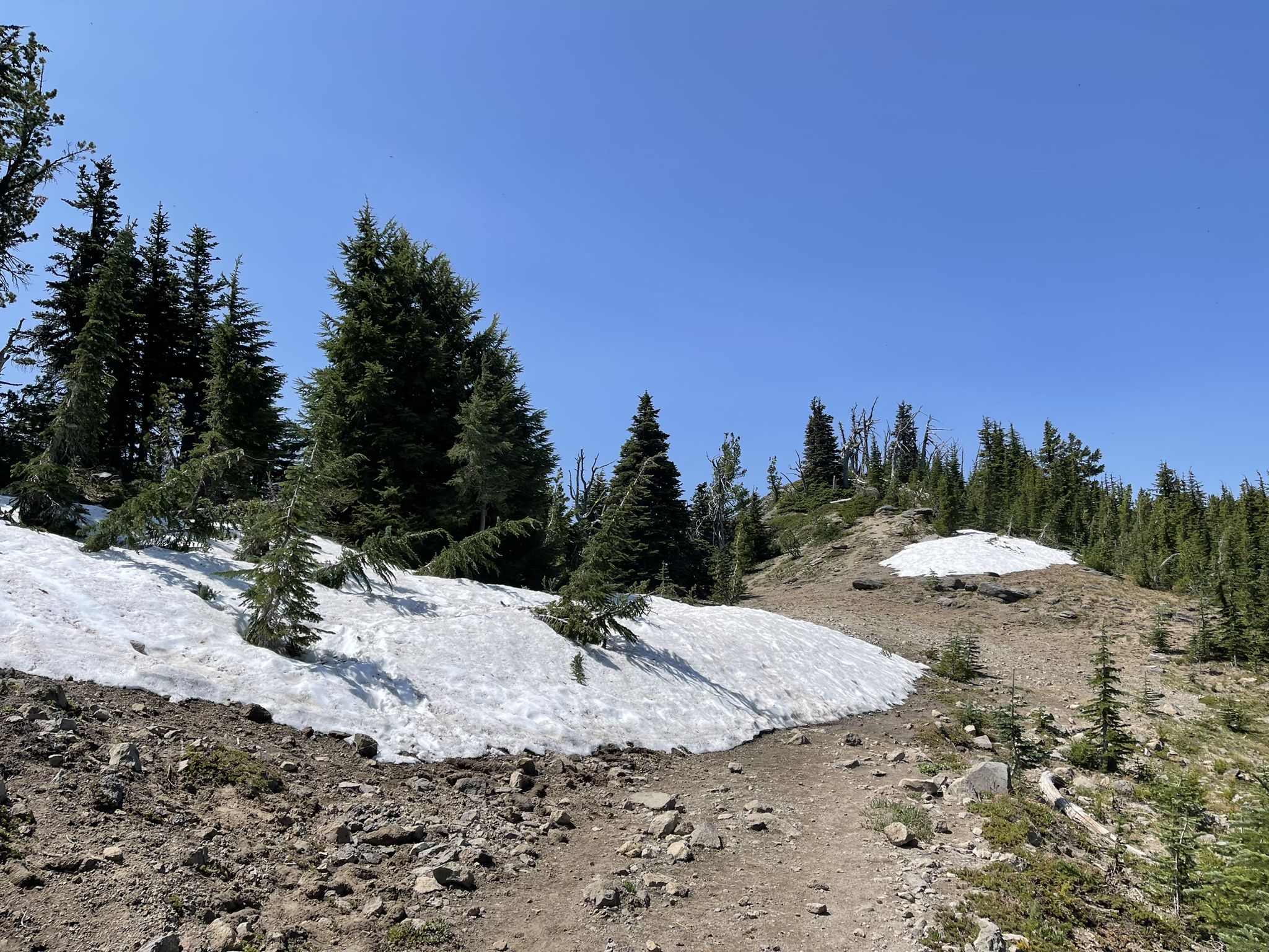Patches of snow on a rocky hillside with evergreen trees under a clear sky. - View of Mount Hood loop from High Prairie Trailhead