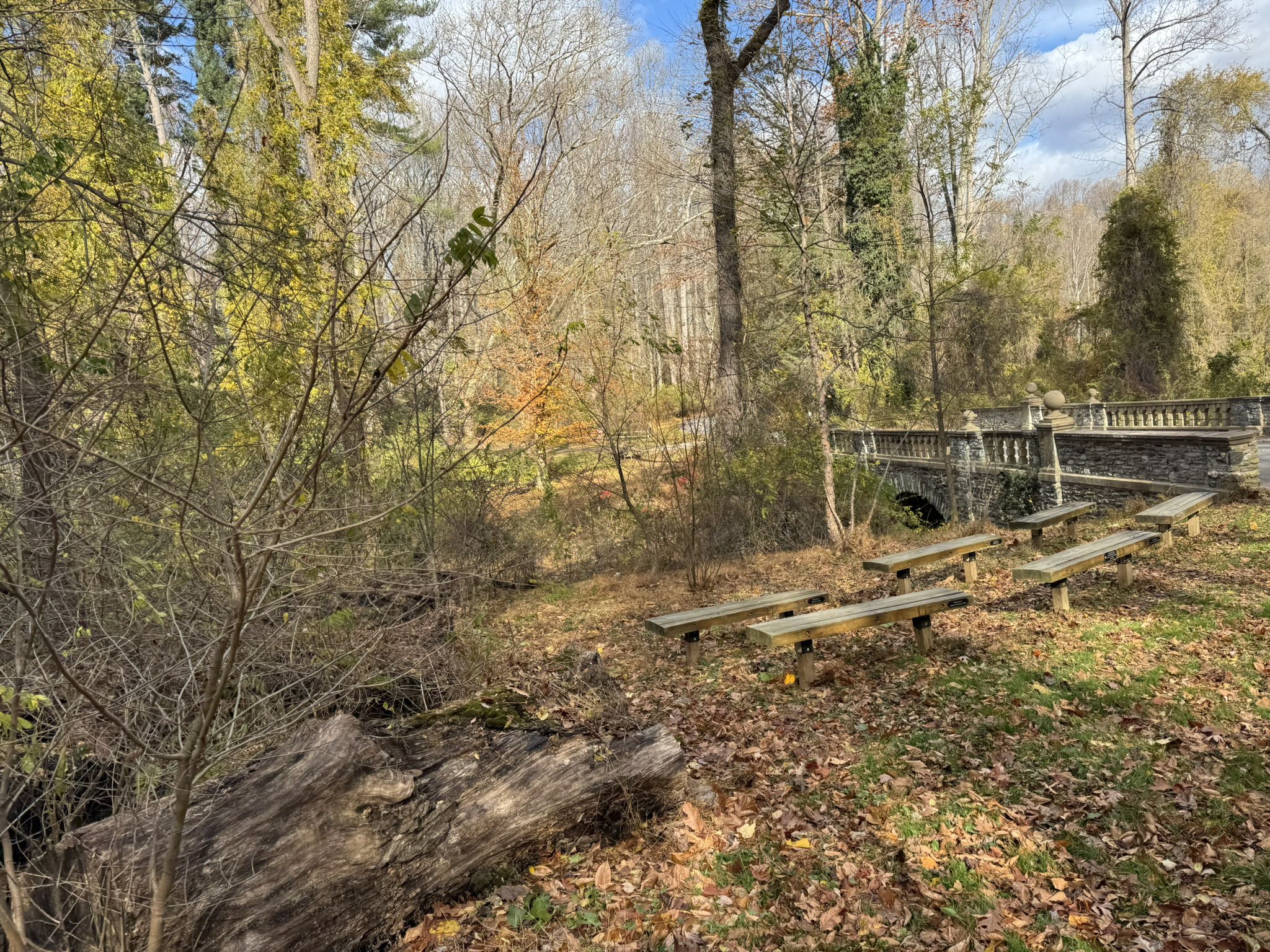 Stone bridge and wooden benches in an autumn forest with a large log. - White and Yellow Trail Loop