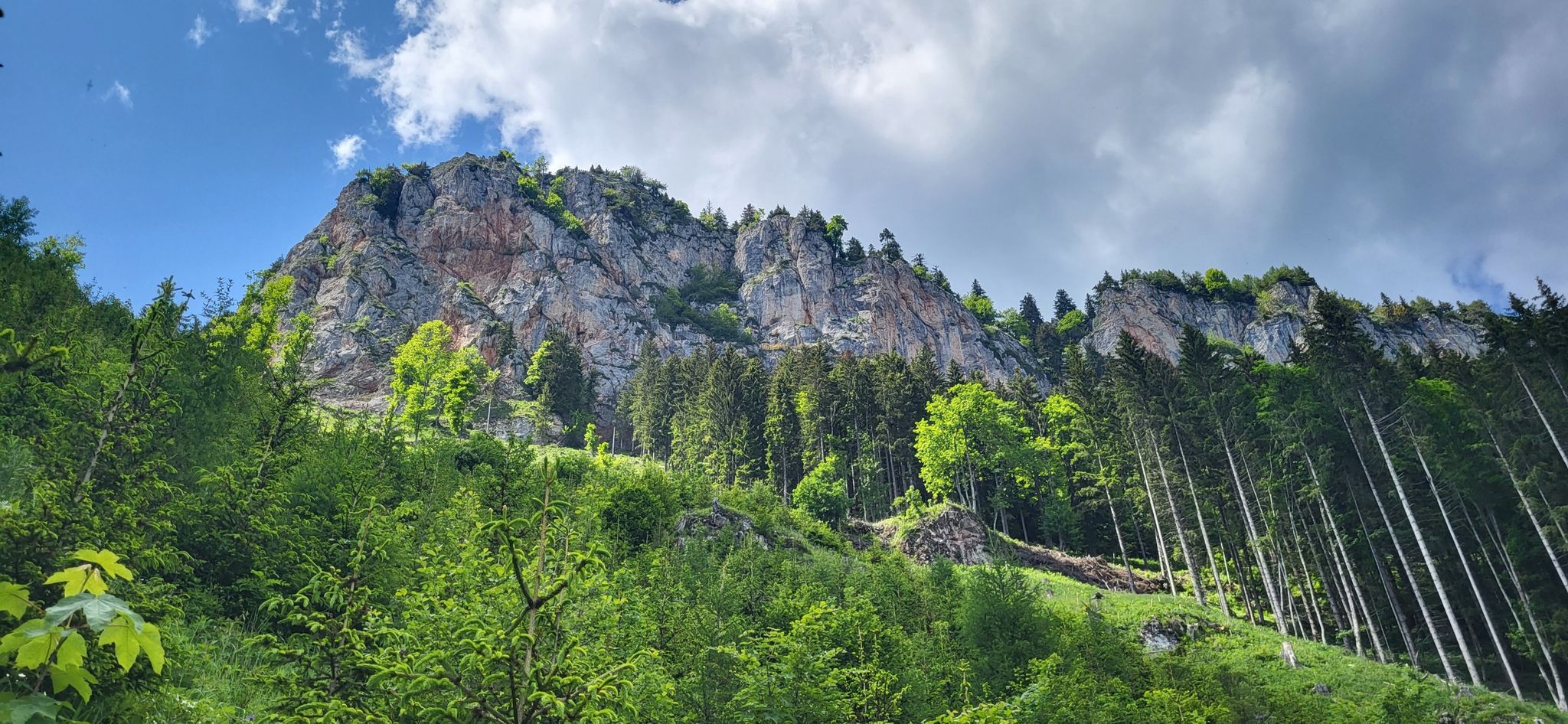 Rote Wand von "unten"