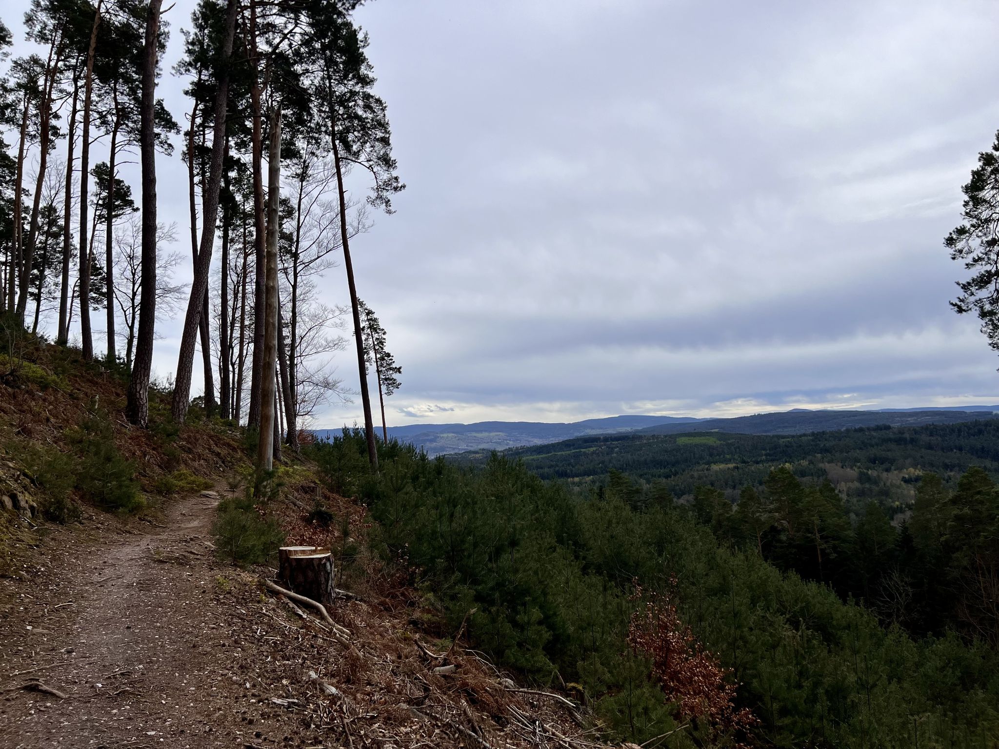 auf dem Rückweg immer wieder hübsche Aussichten vom Steilhang