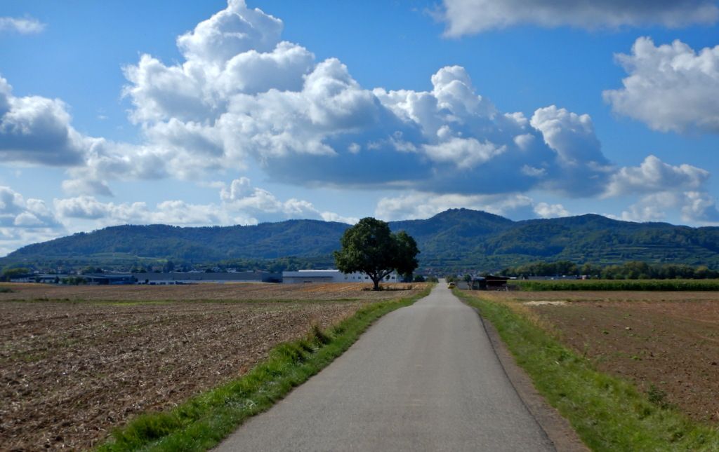 Von Forchheim nach Endingen