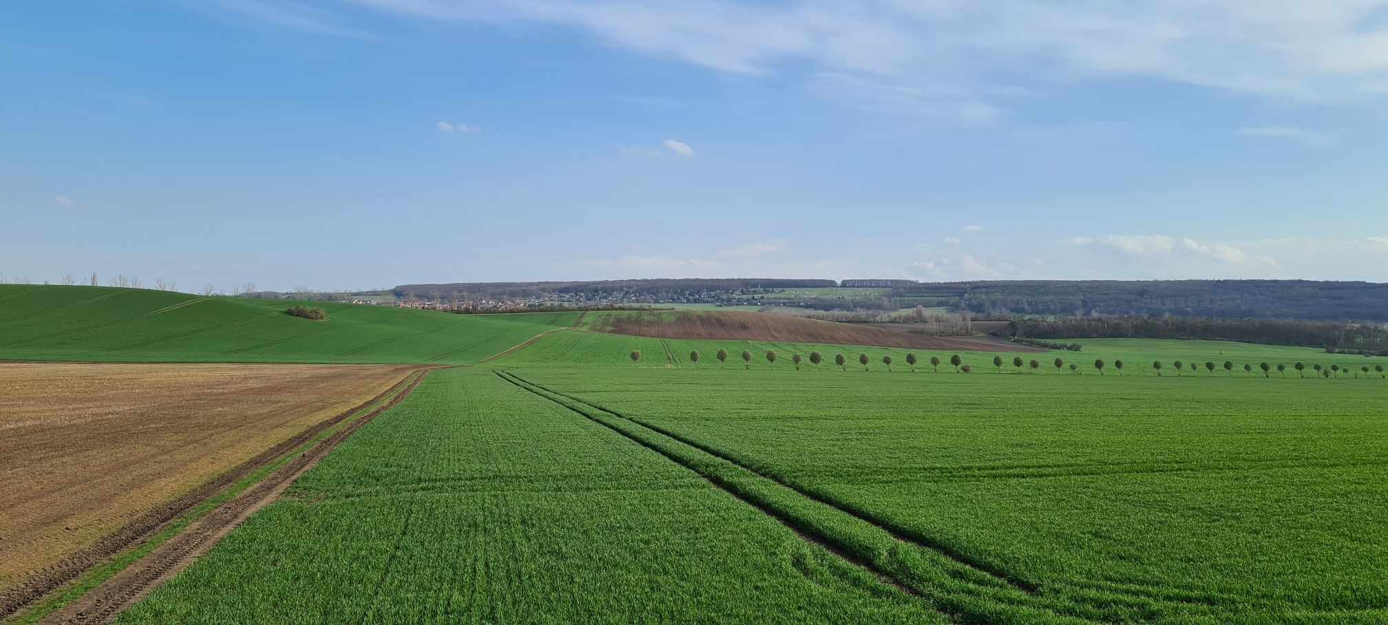 ...noch ein weiter Weg quer Feld ein...