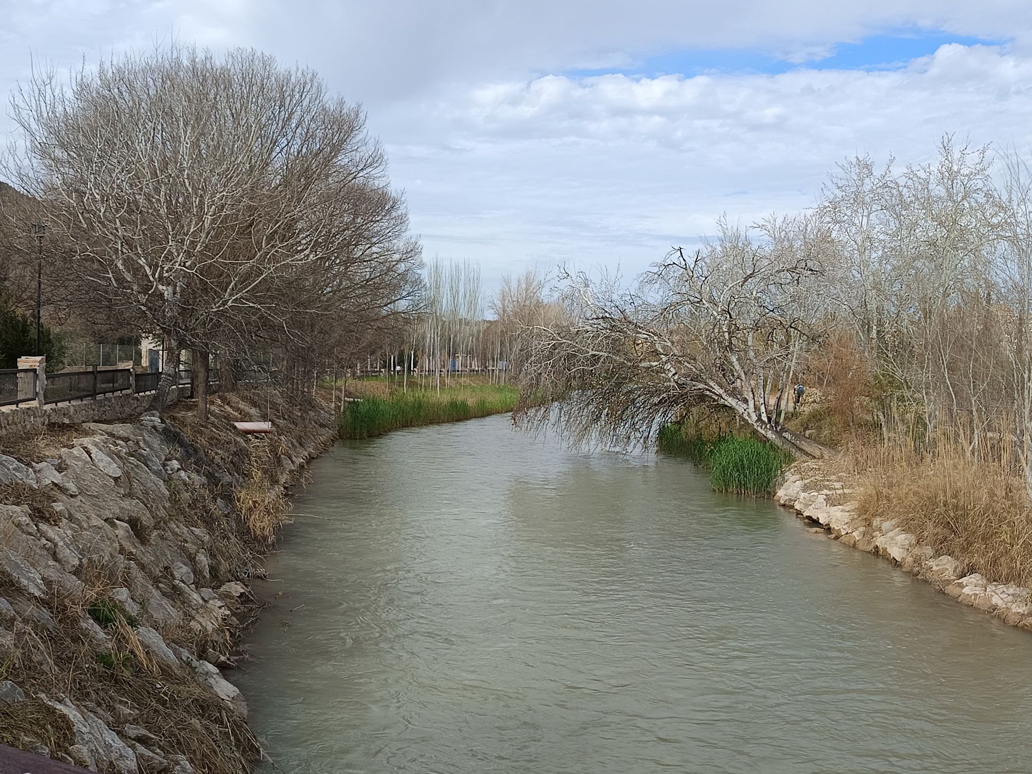 Río Segura