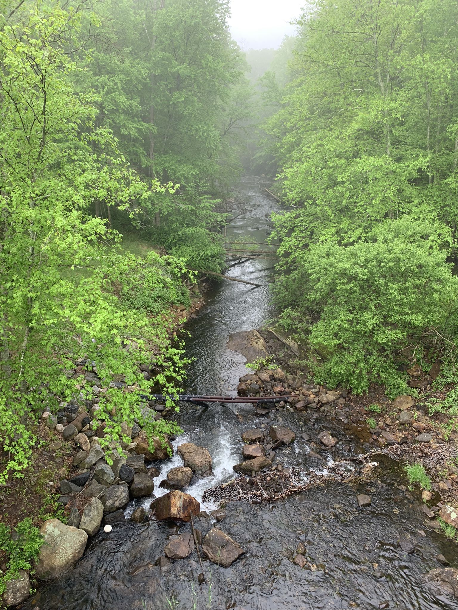 Misty view of a rocky stream flowing through a vibrant green forest. - Lake Sebago loop from Harriman State Park