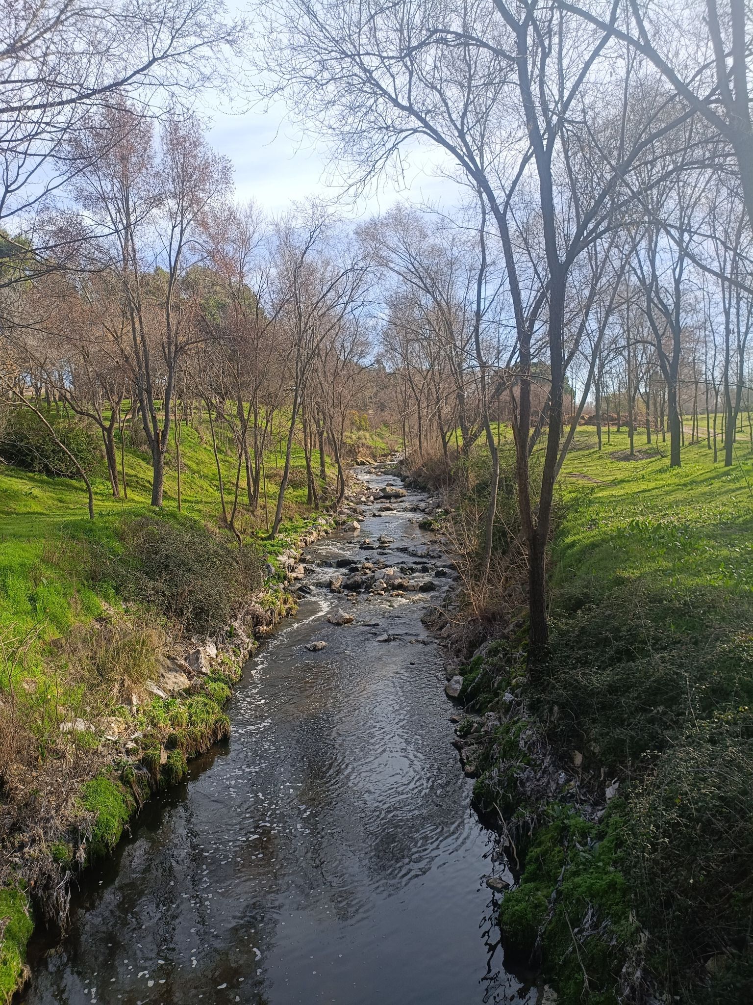 Parque del Soto