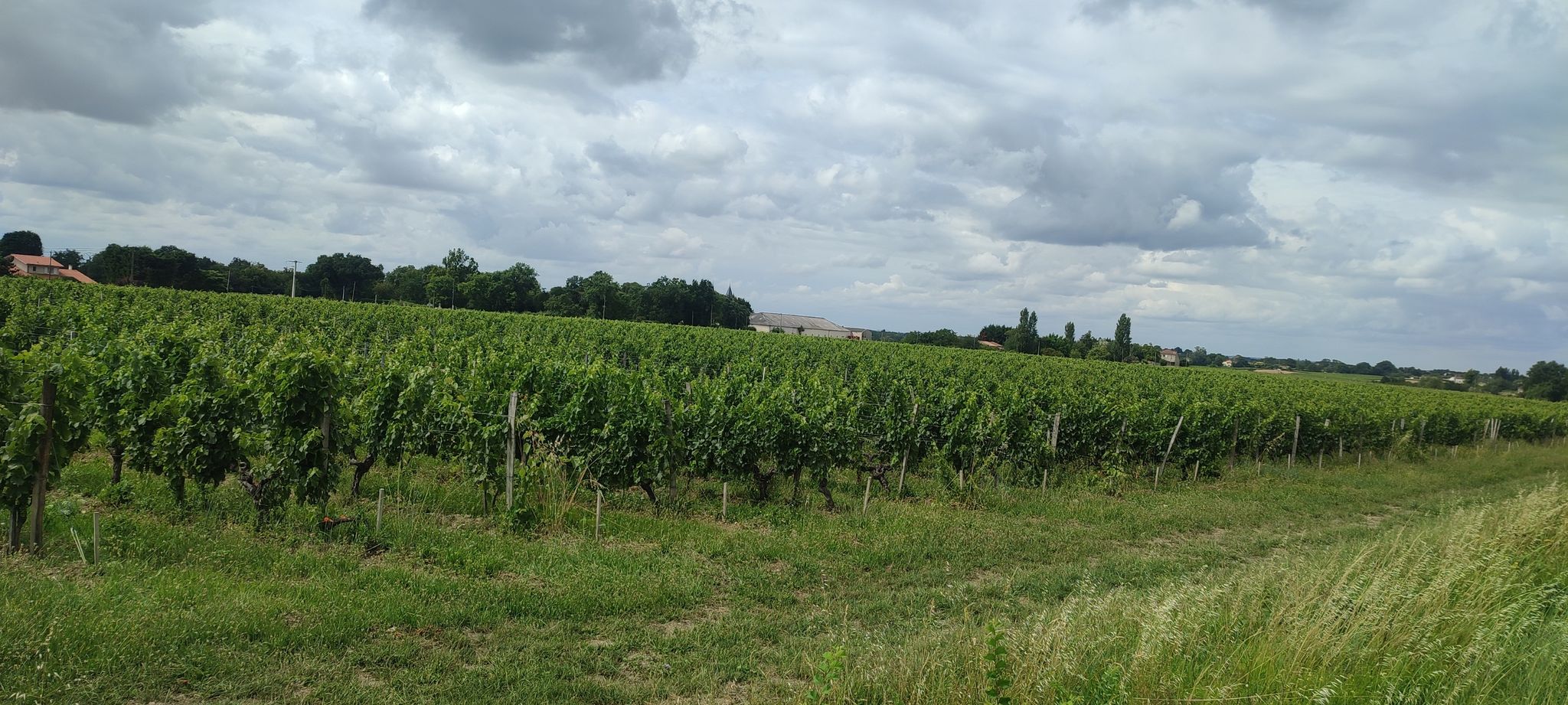 kein Schlossblick