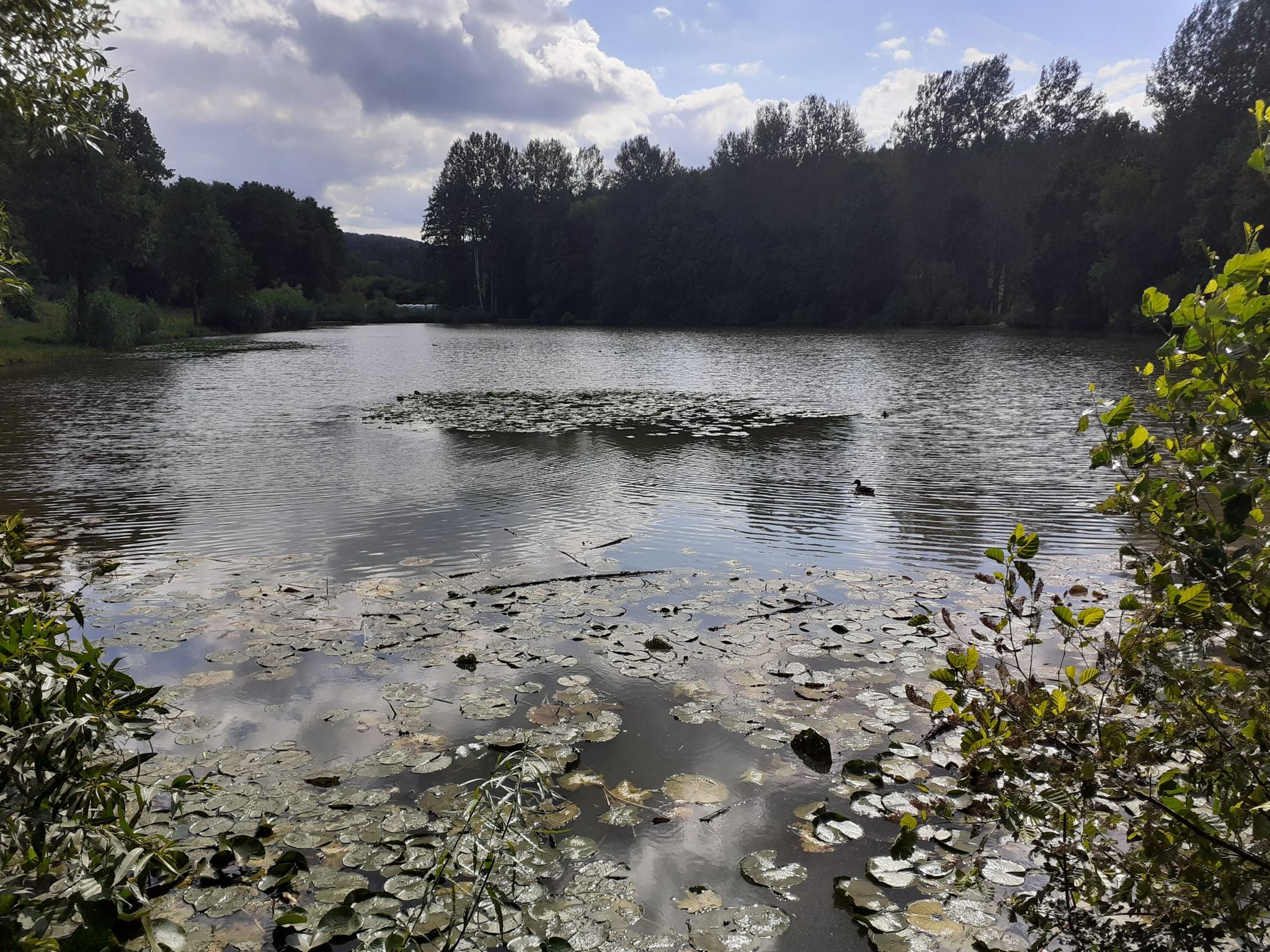 Hollersee