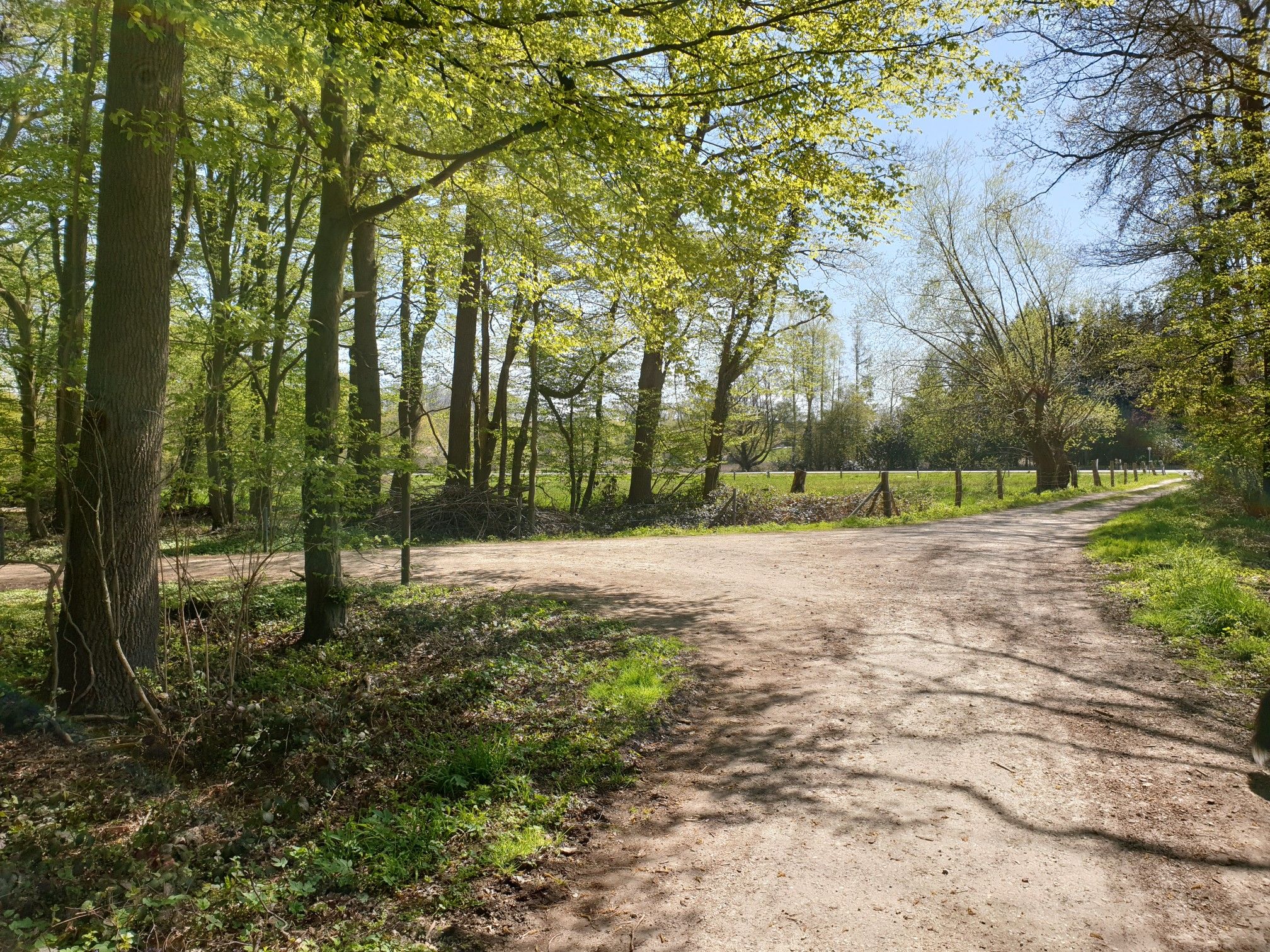 An der Weggabelung links