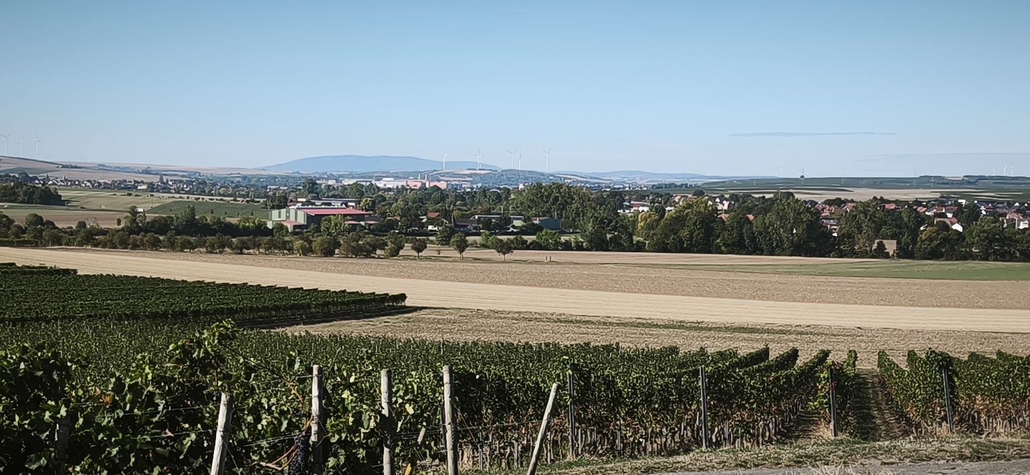 Donnersberg im Westen
