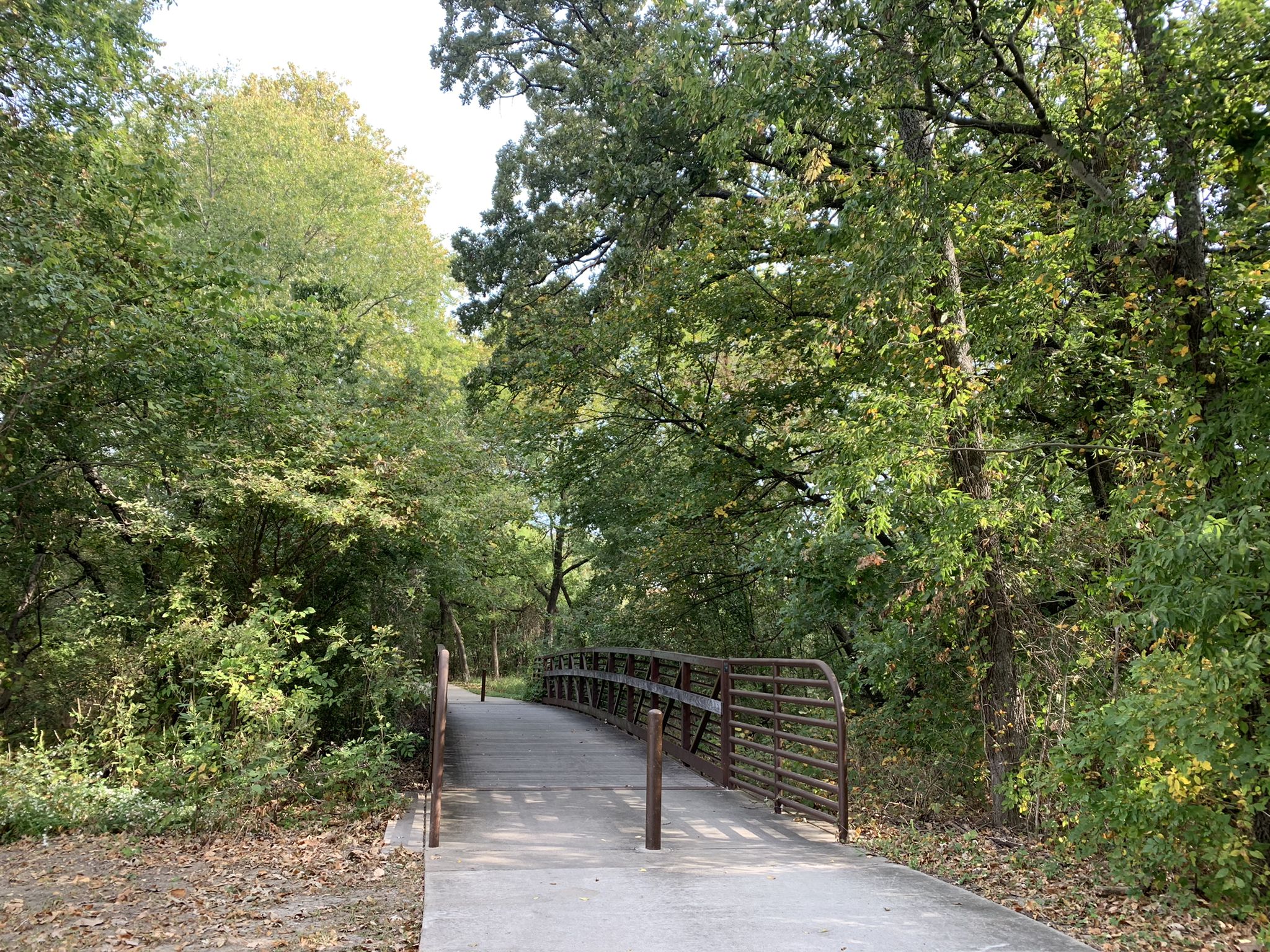 Concrete bridge with metal railings winding through a vibrant green forest. - Bonnie Wenk Nature Trail