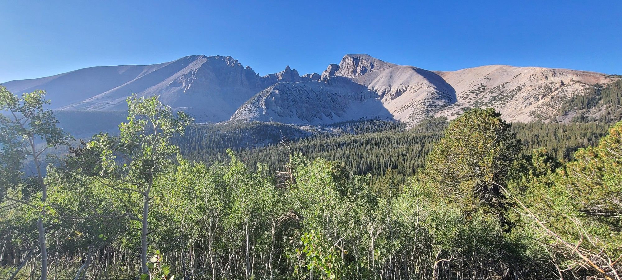 Lush green and yellow trees frame majestic mountains under a clear blue sky. - Stella Lake loop from Summit Trailhead Parking