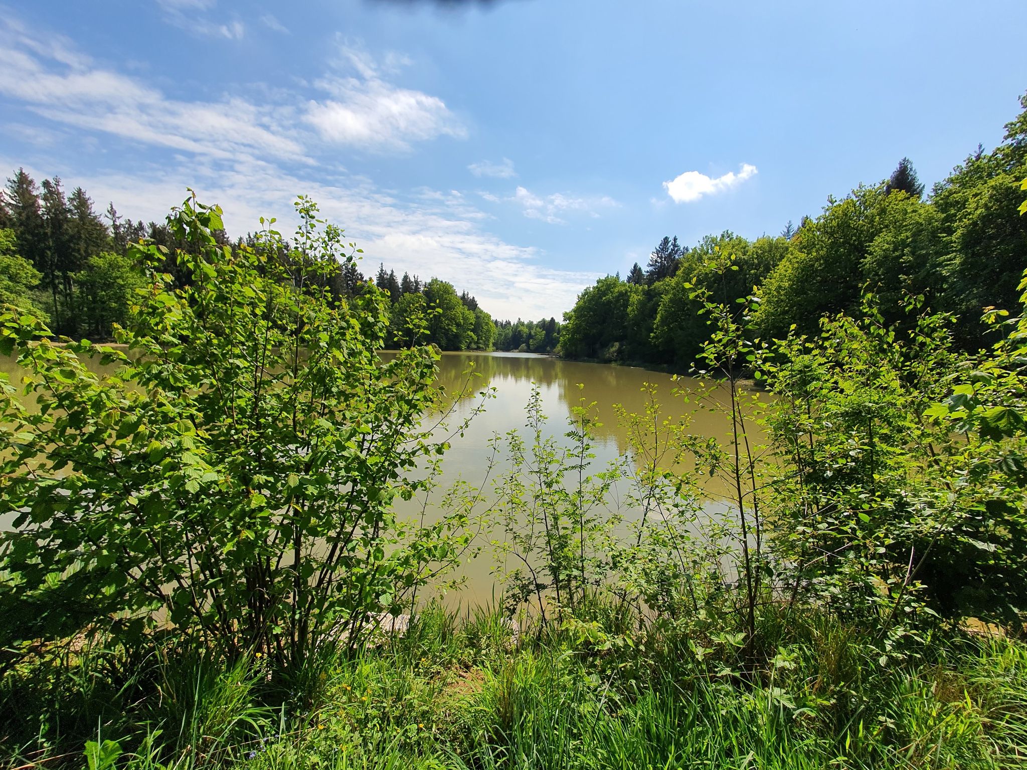 Neuweiher
