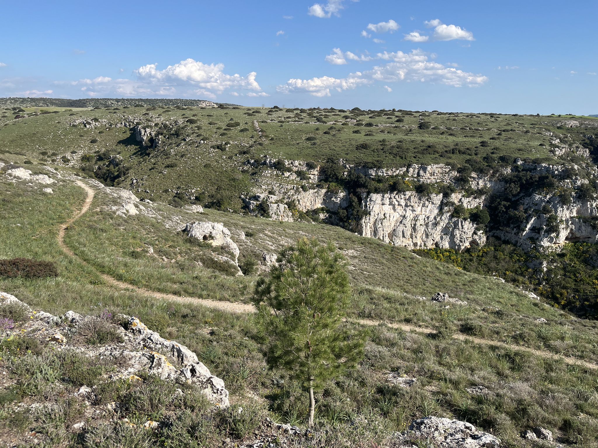 Hochebene Murgia