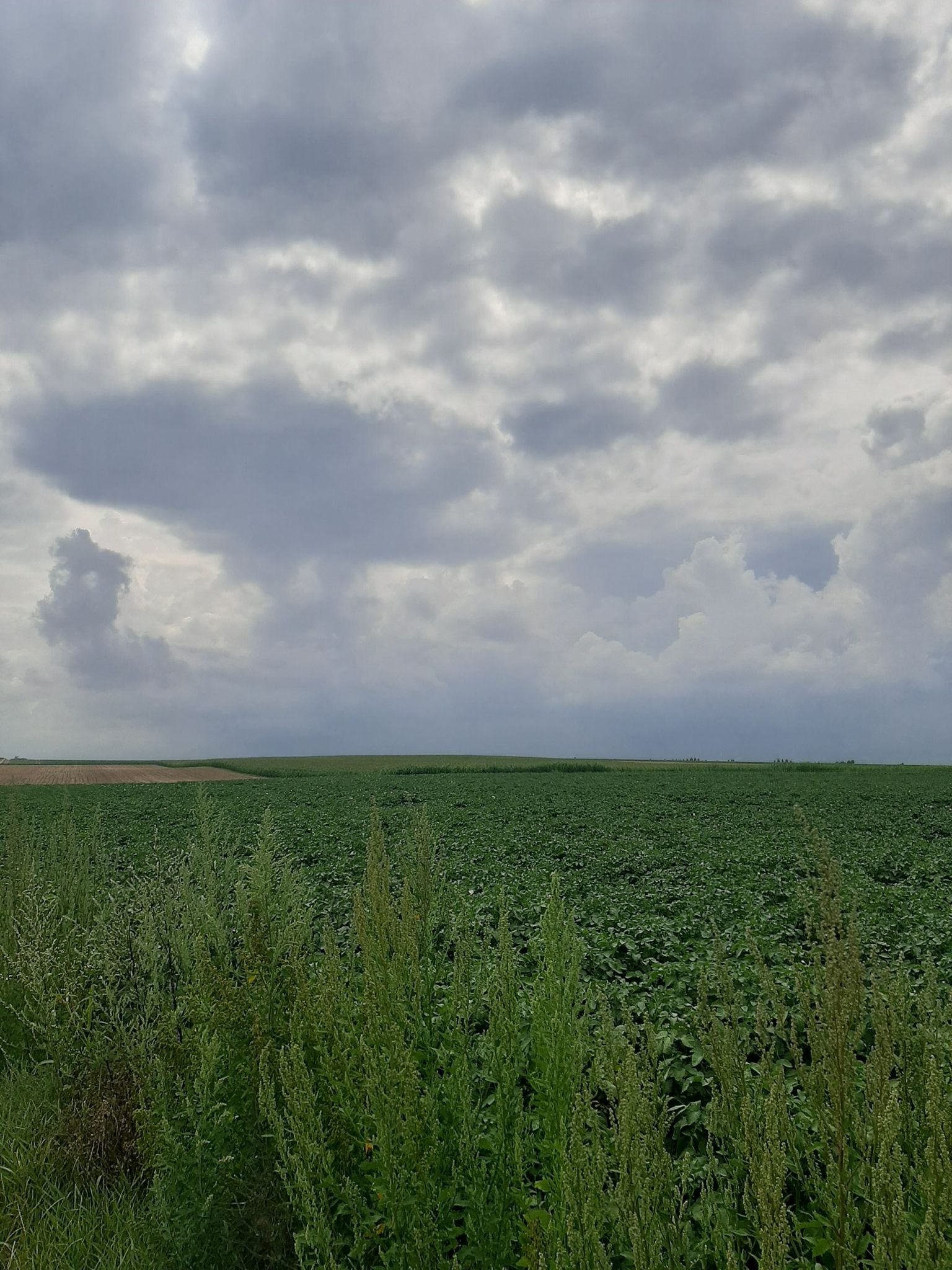 donkere wolken op komst