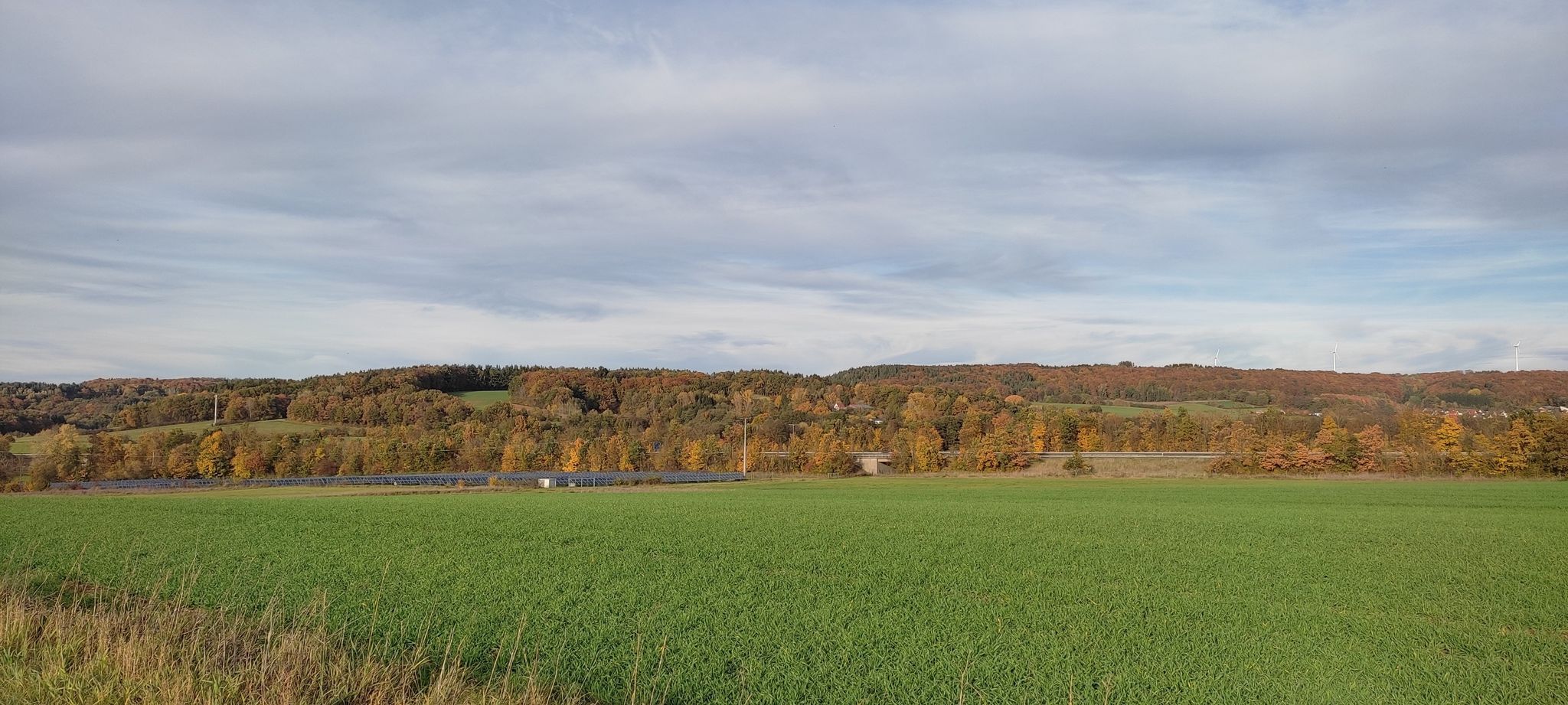 Ausblick zw. Oberölsbach u. Meilenhofen