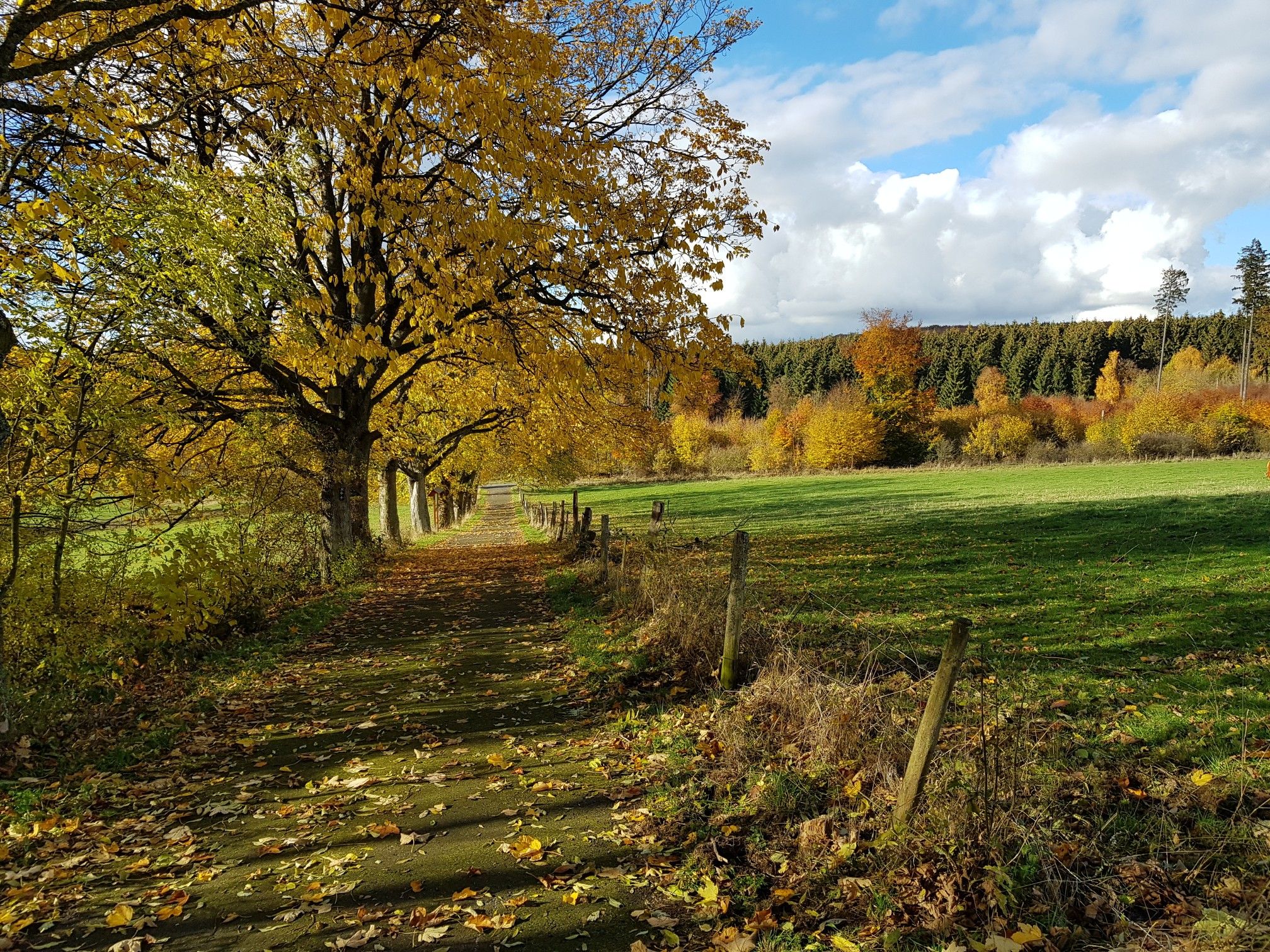 Aussicht vom Steimel