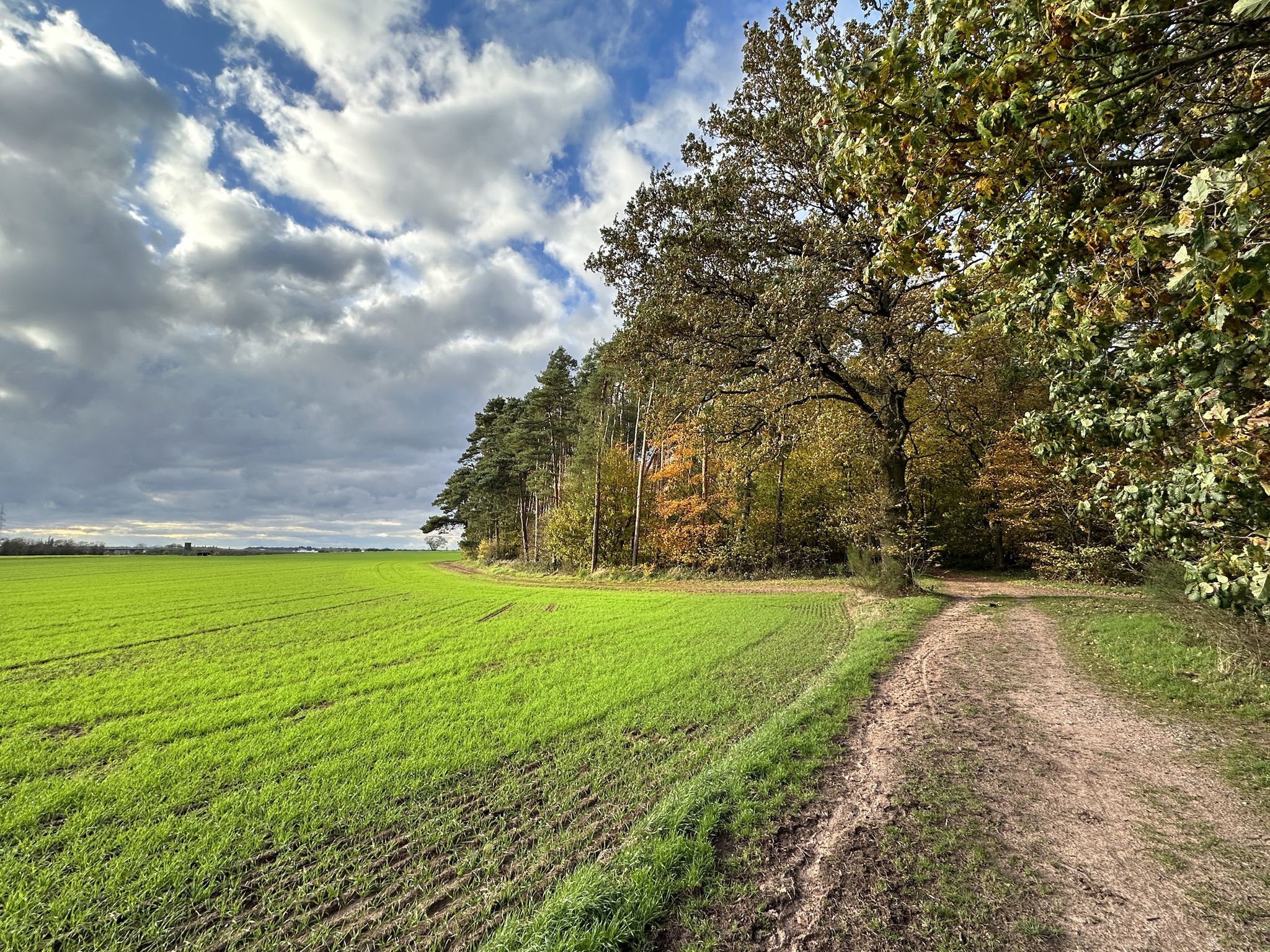 Sonne, die Zweite