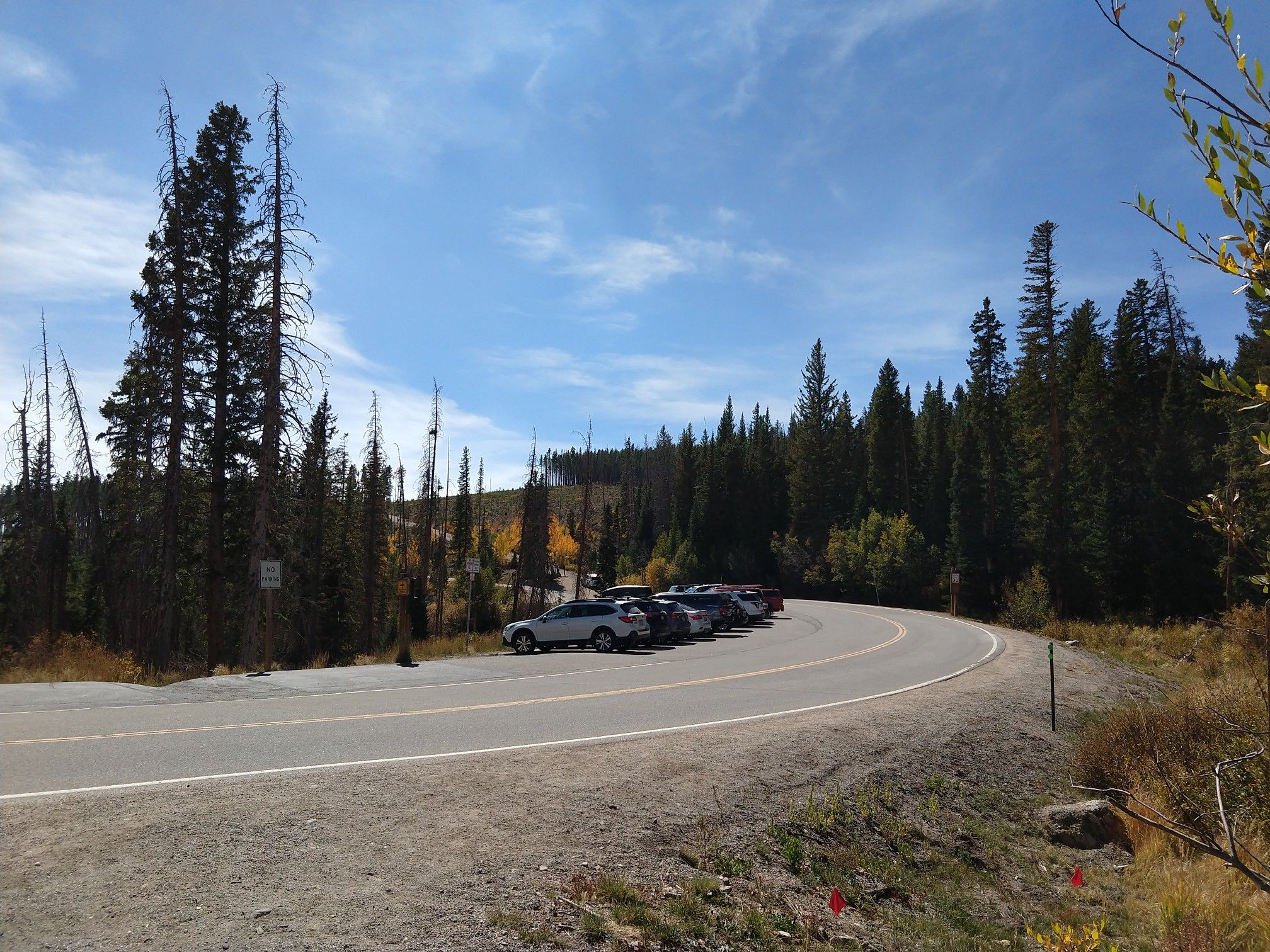 Winding paved road with parked cars, surrounded by green pine trees under a blue sky. - Buffalo Mountain Trail