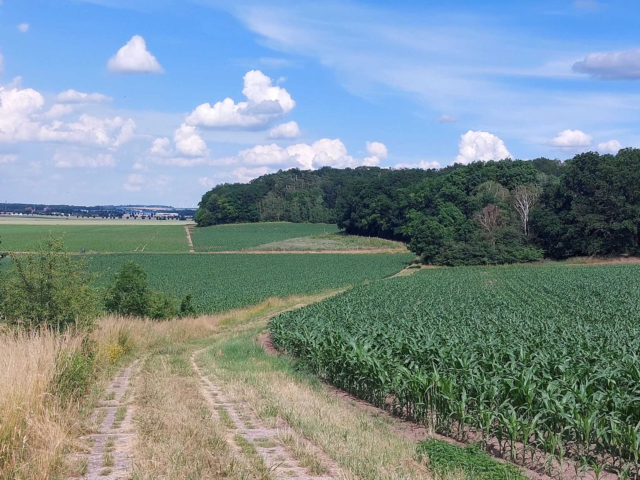 am Horizont die AWH