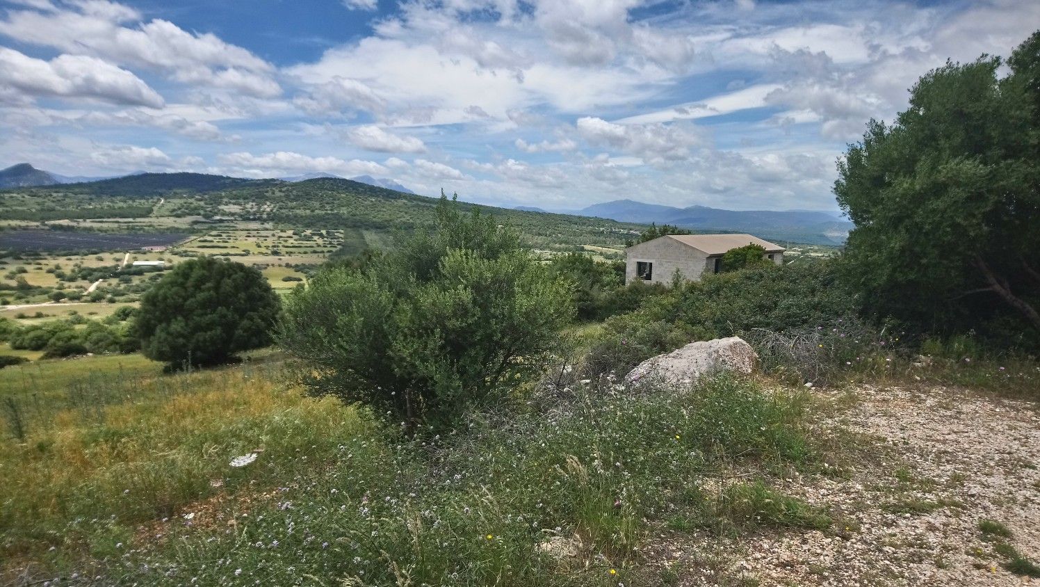 Blick Om tuttjvistae