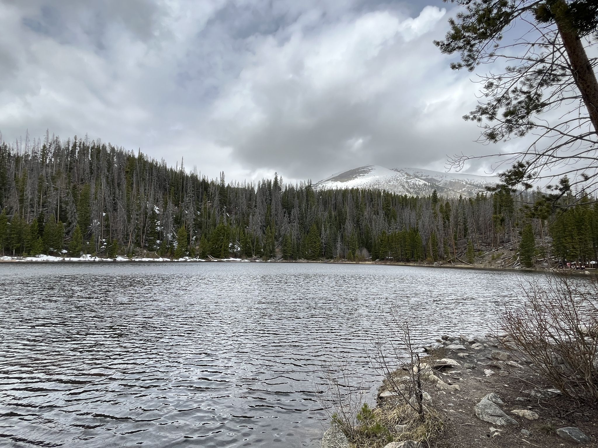 A large lake with a snow-capped mountain and forest under a cloudy sky. - Lily Pad Lake via Meadow Creek Trail