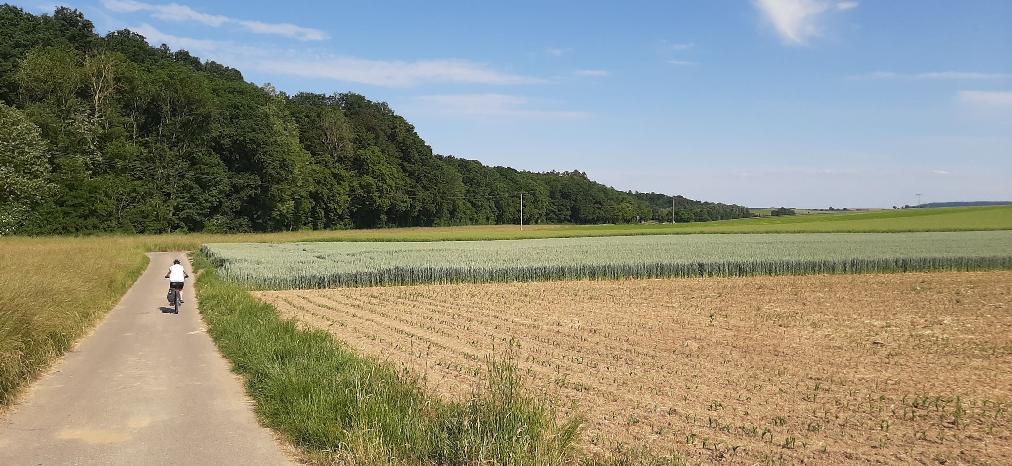 Durchs Leitersbachtal...