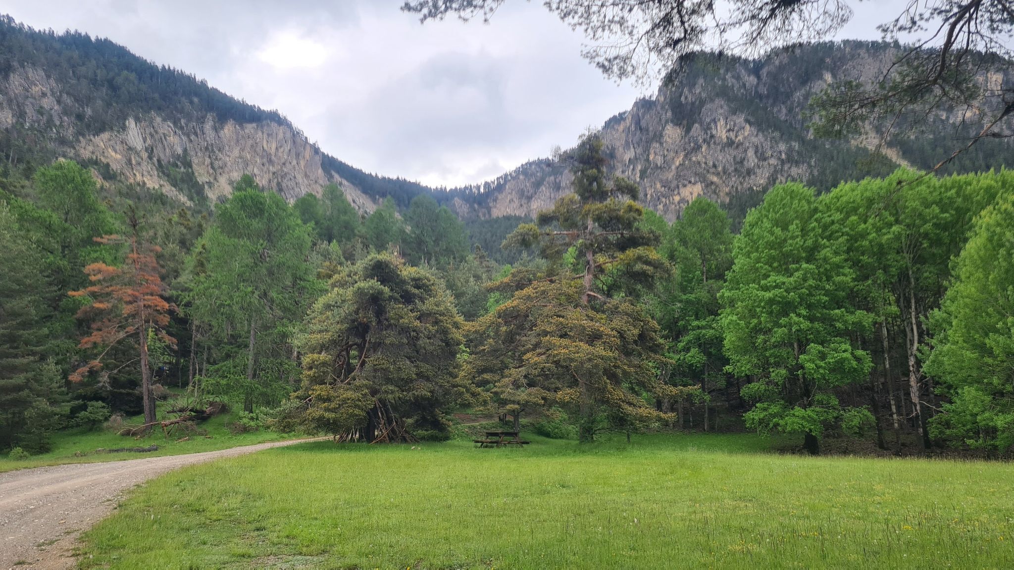 Bel Pinet