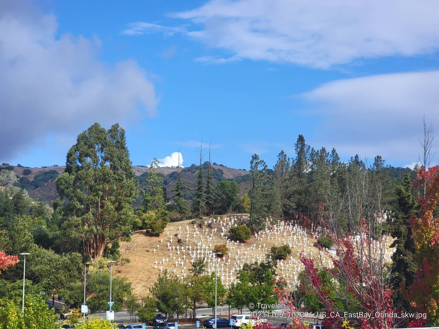 Hillside covered in white markers, surrounded by trees under a blue sky. - Iron Horse Trail junction – Iron Horse Trail bridge loop from De La Salle High School