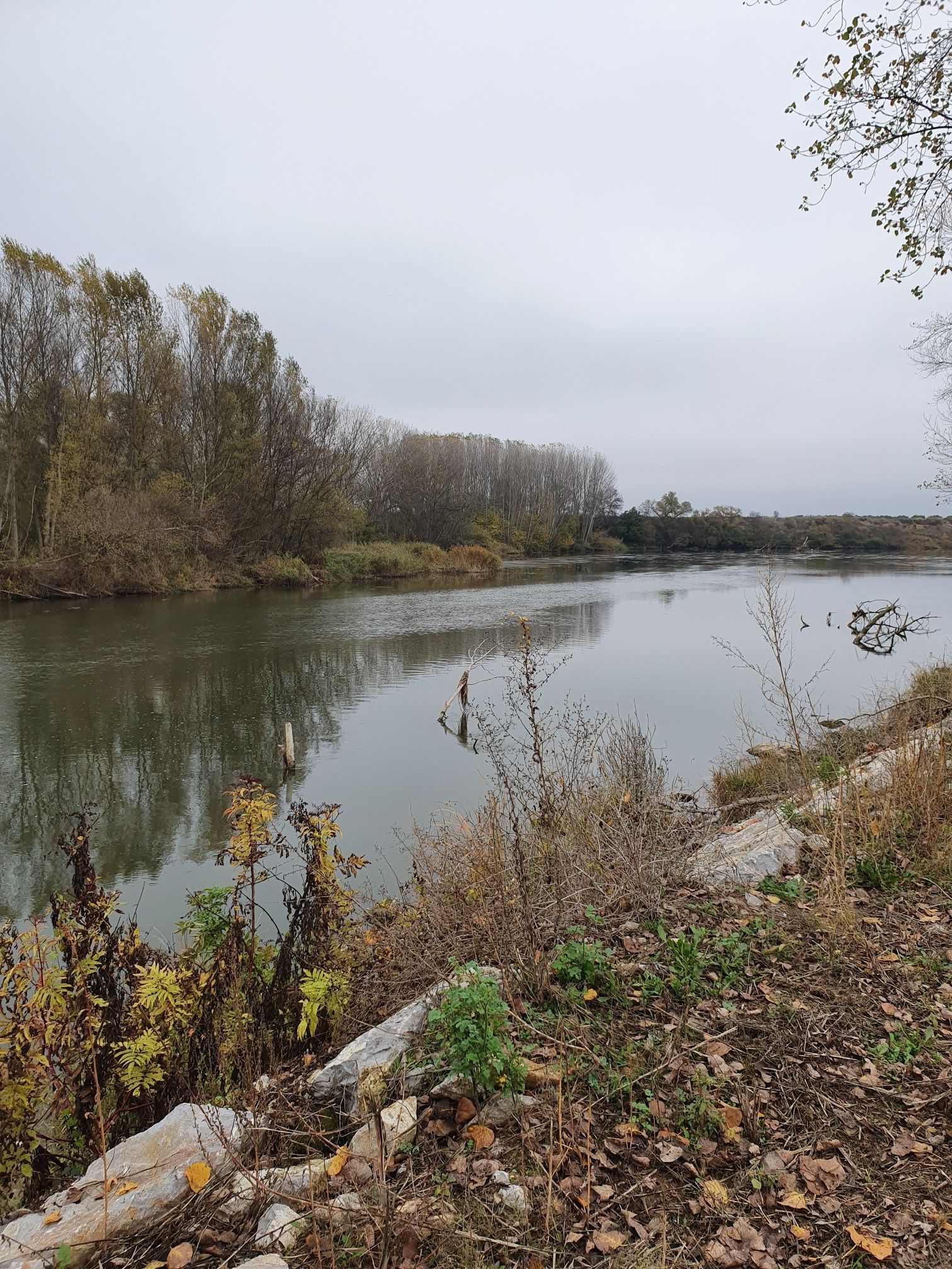 Río Ebro