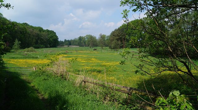 Schwinge-Nebental im Süden Stades