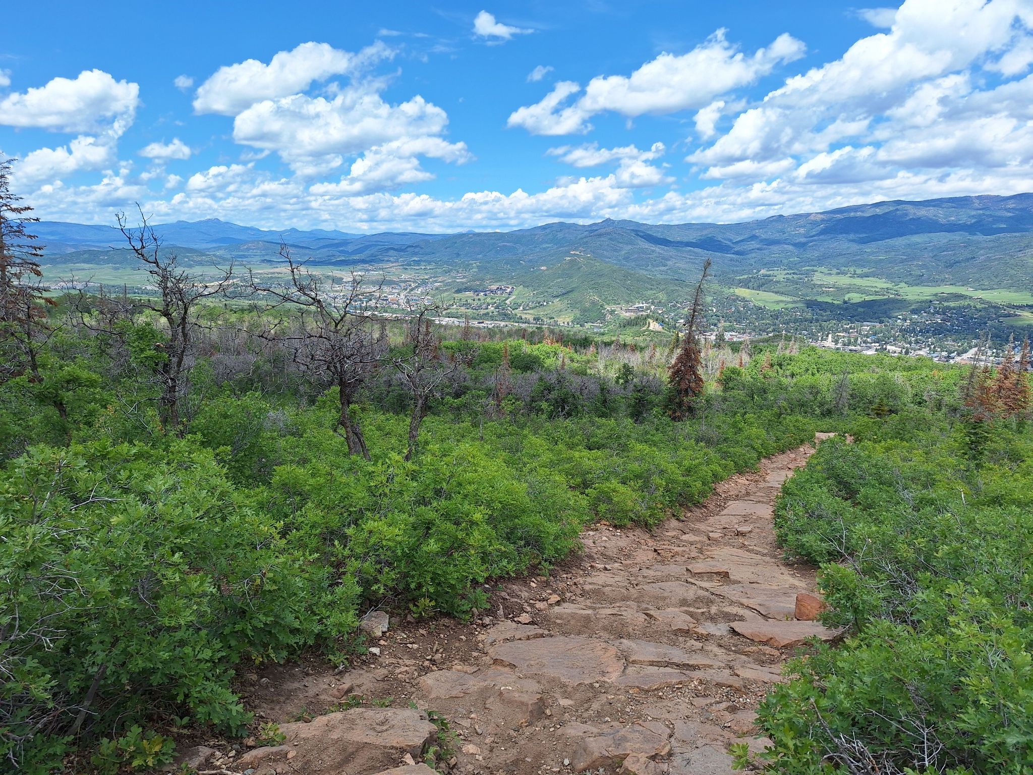 Dirt path through green bushes, overlooking a valley and distant mountains. - Emerald Mountain Trails – Steamboat Springs