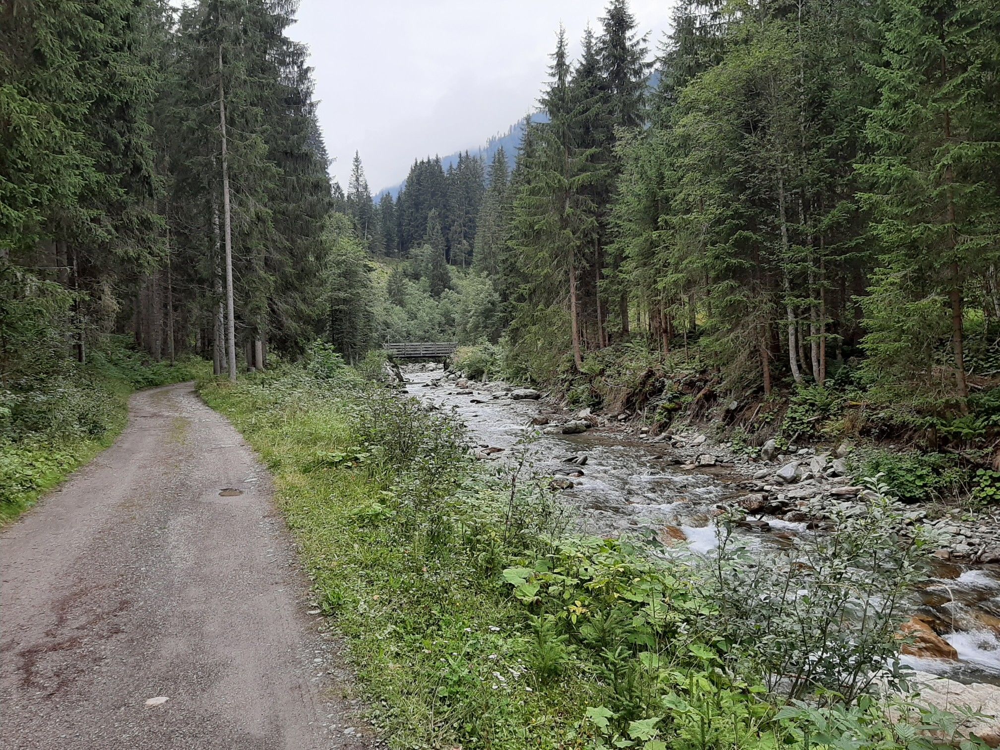 Grenzlandweg an der Gail