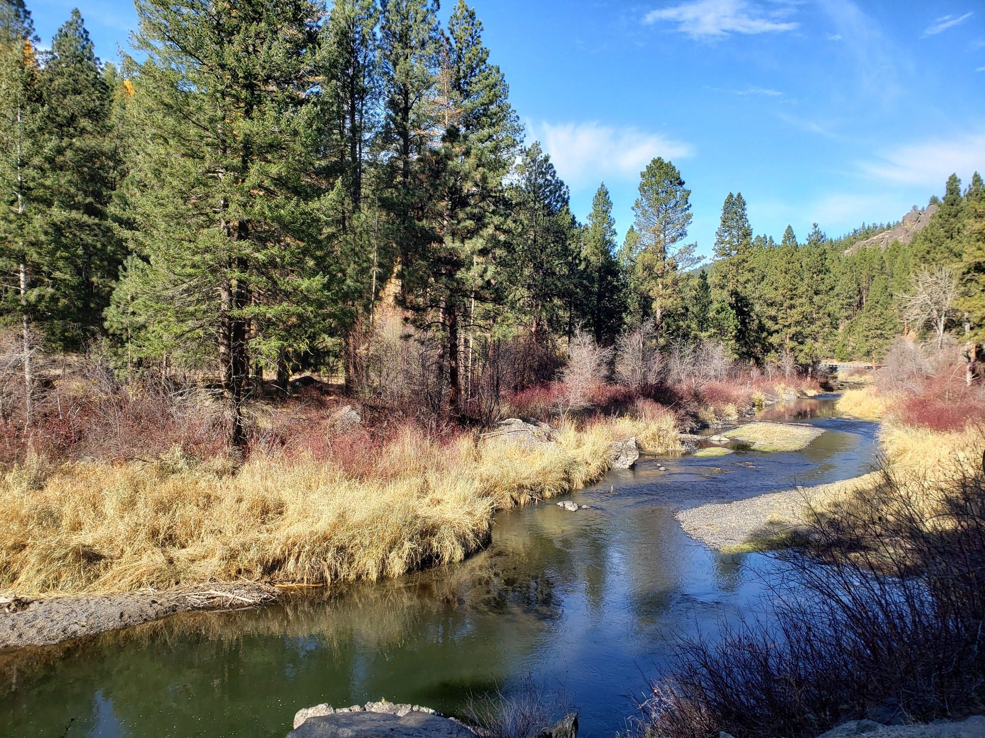 Serene river flowing through a forest with tall pines and dry grass. - Baker, Unity & Phillips Lake loop