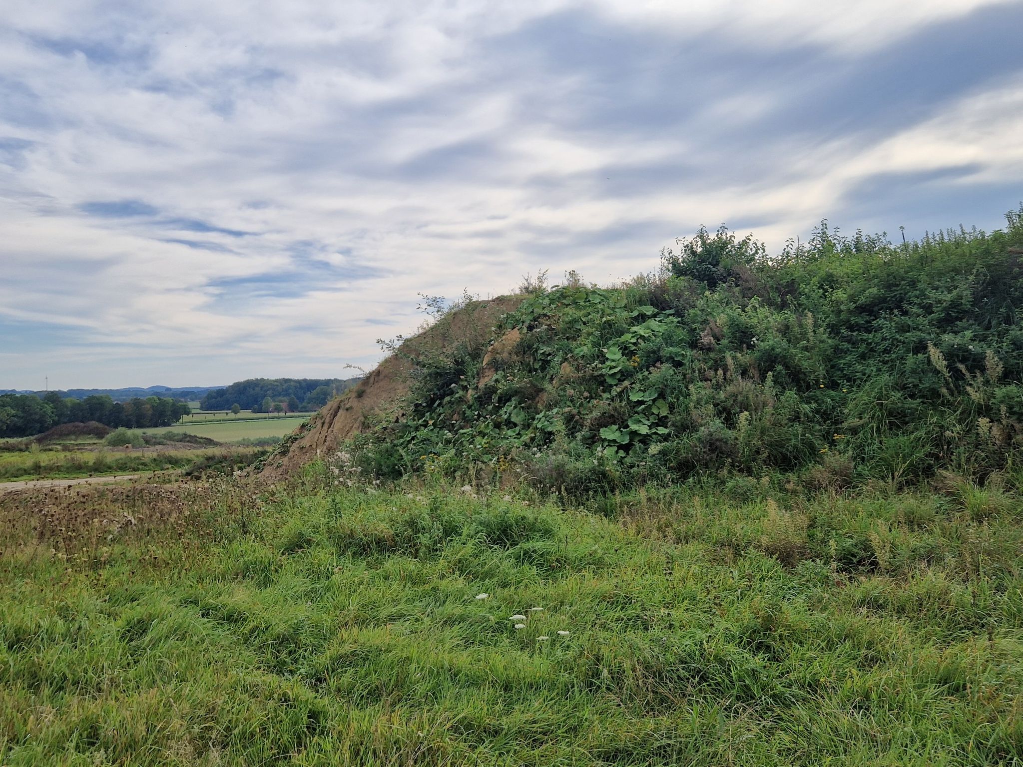 Blick in Tongrube